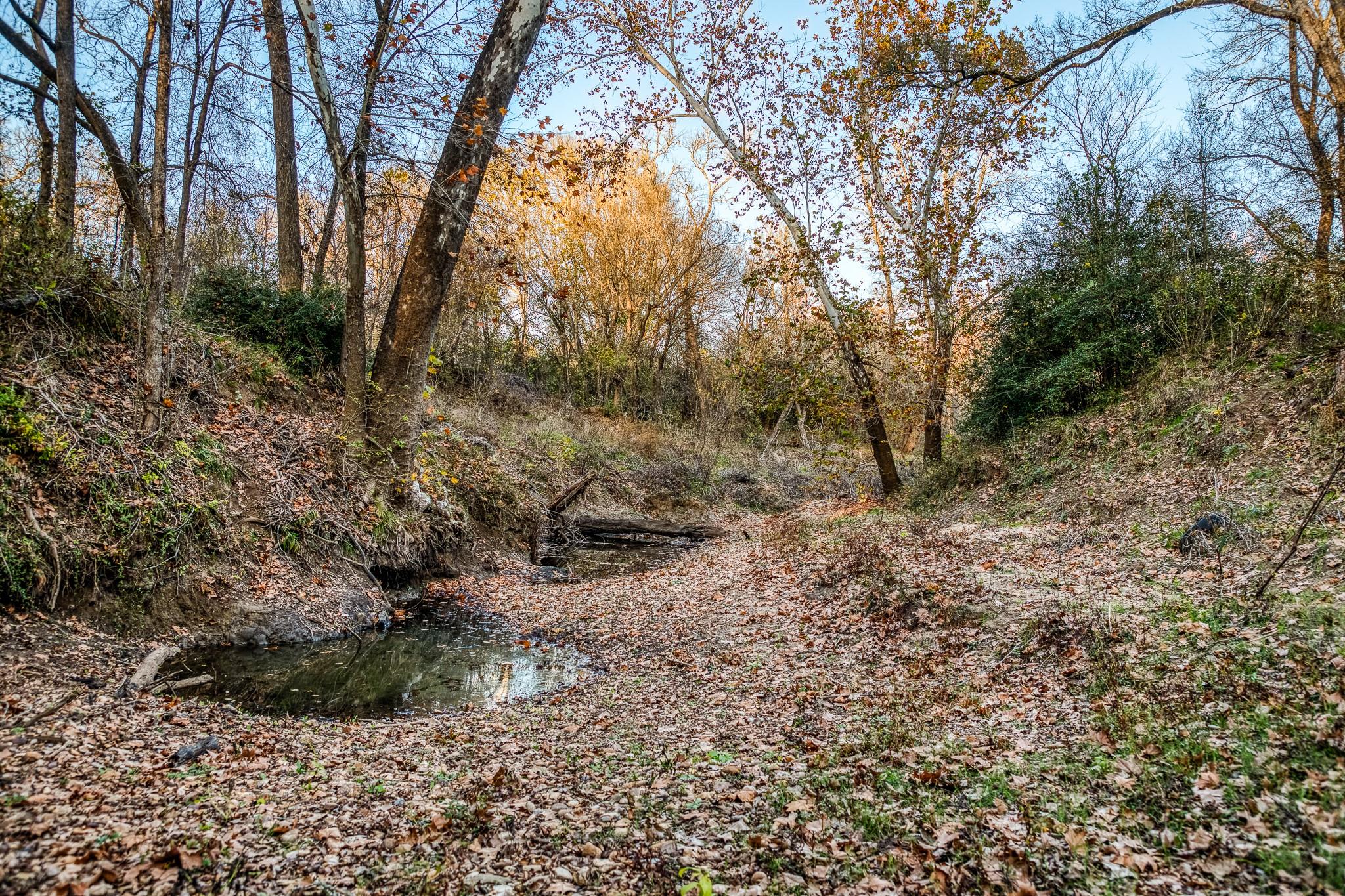 196 Willy Rd, Bastrop, TX 78602