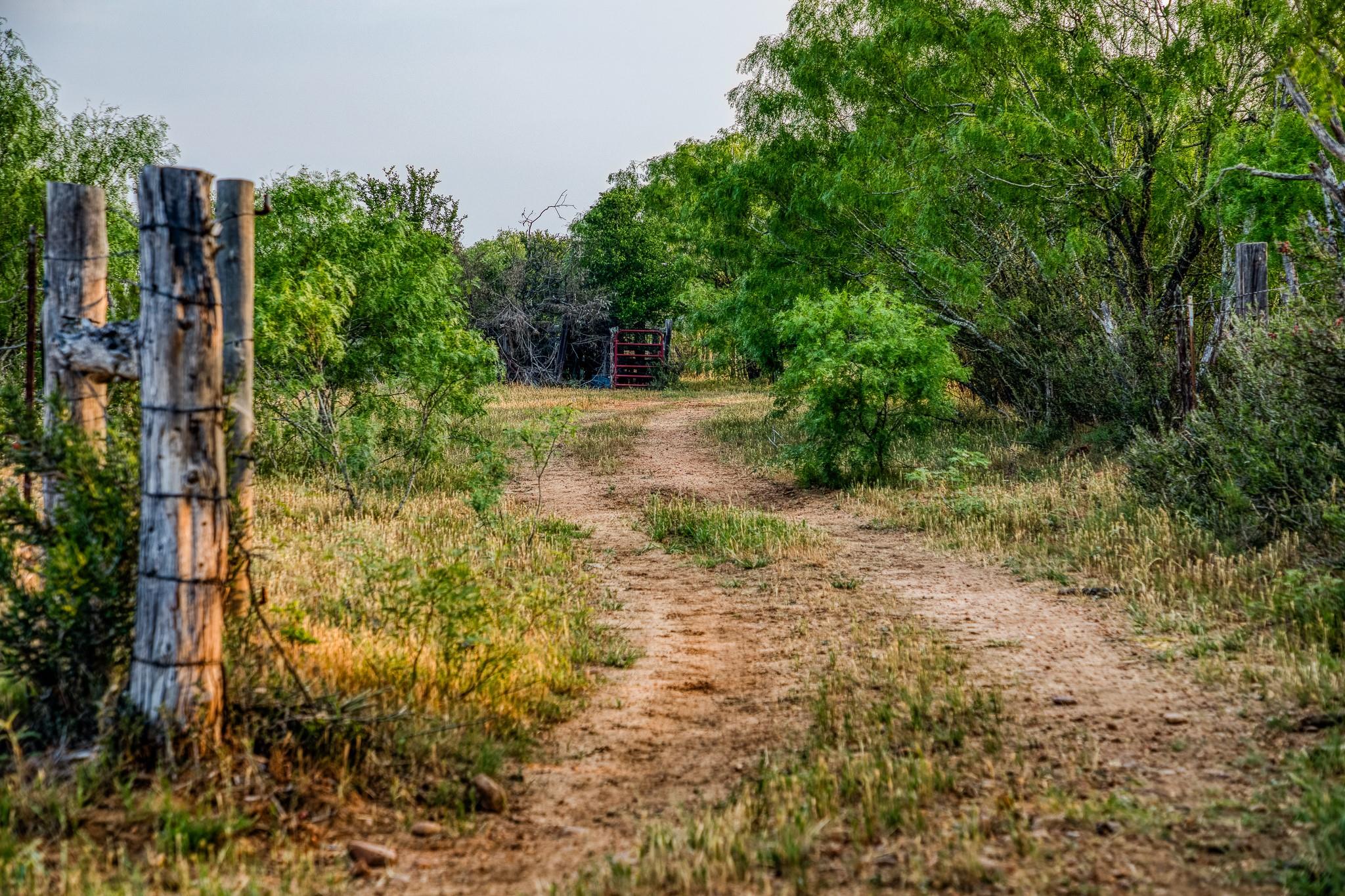 196 Willy Rd, Bastrop, TX 78602