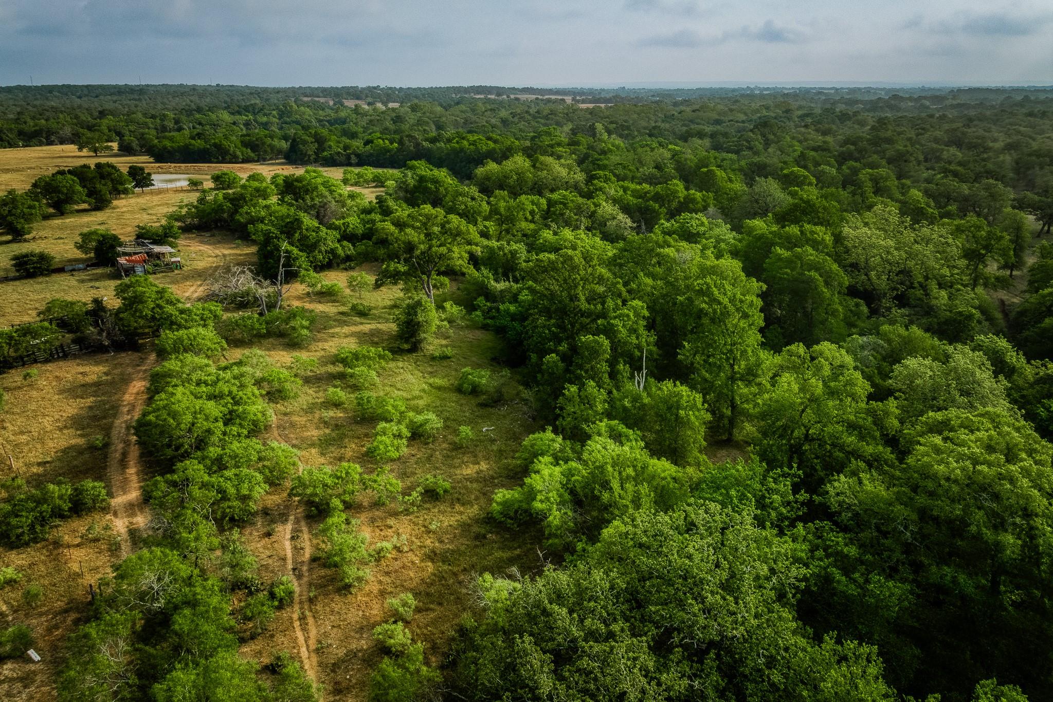 196 Willy Rd, Bastrop, TX 78602