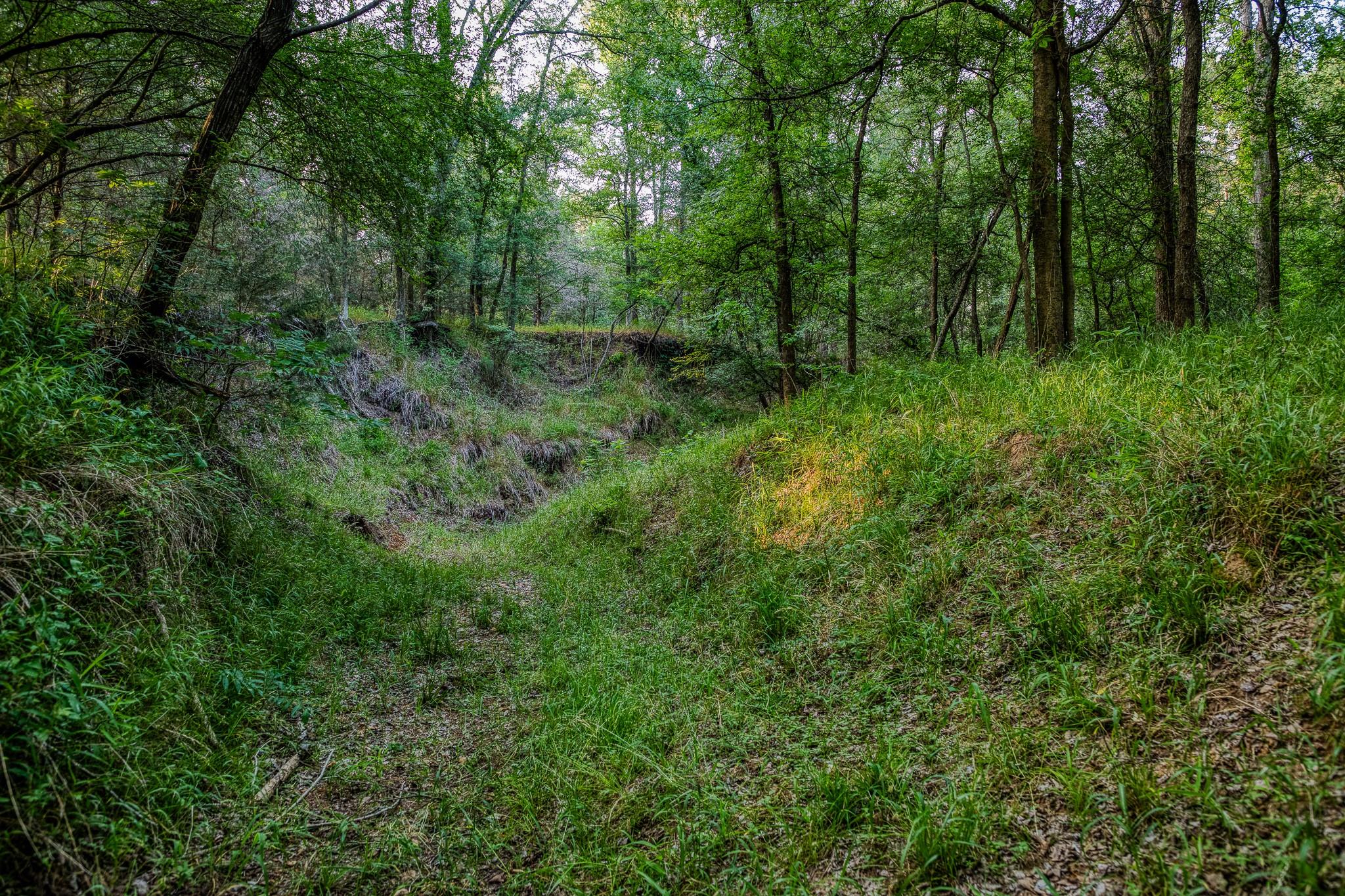 196 Willy Rd, Bastrop, TX 78602