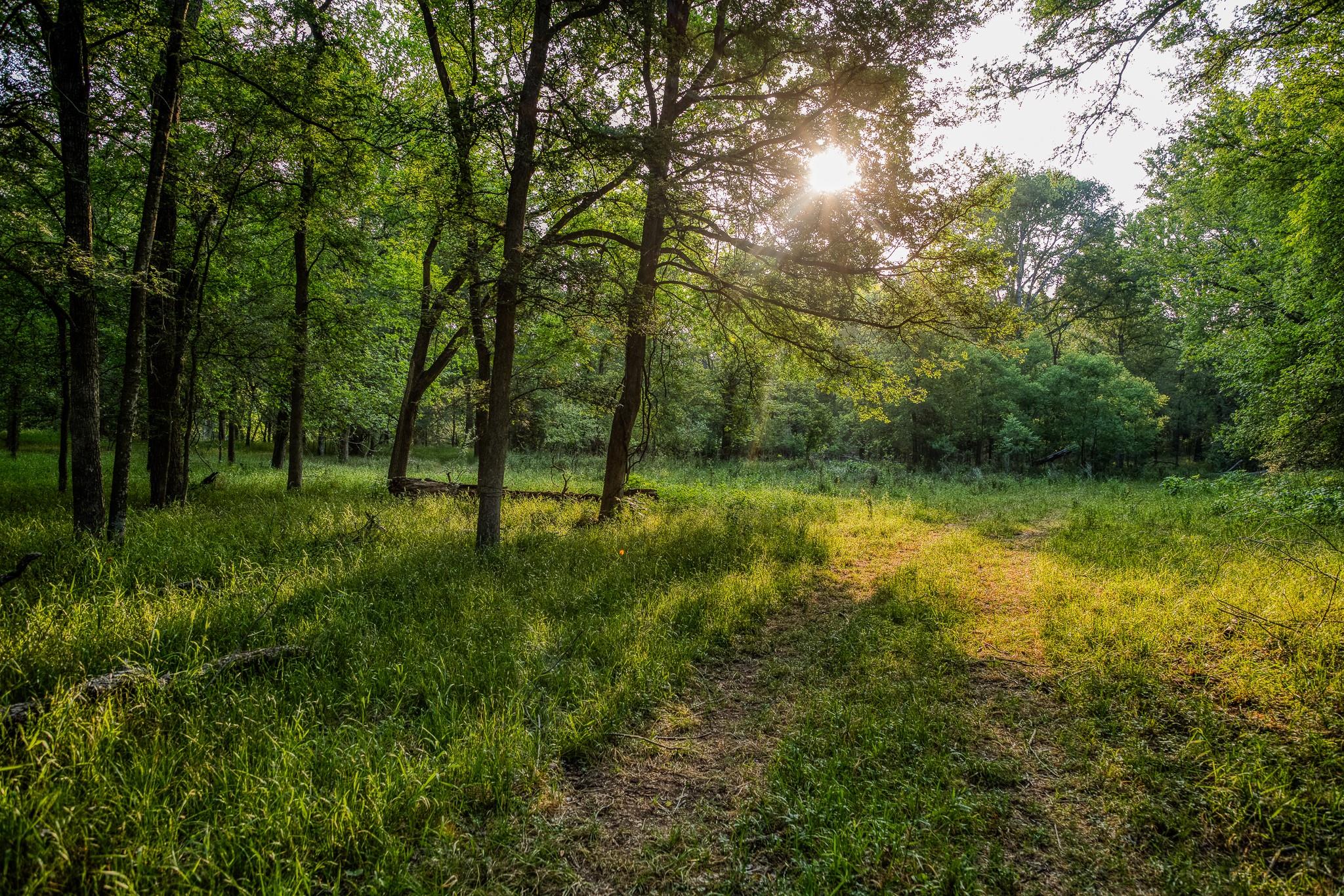 196 Willy Rd, Bastrop, TX 78602