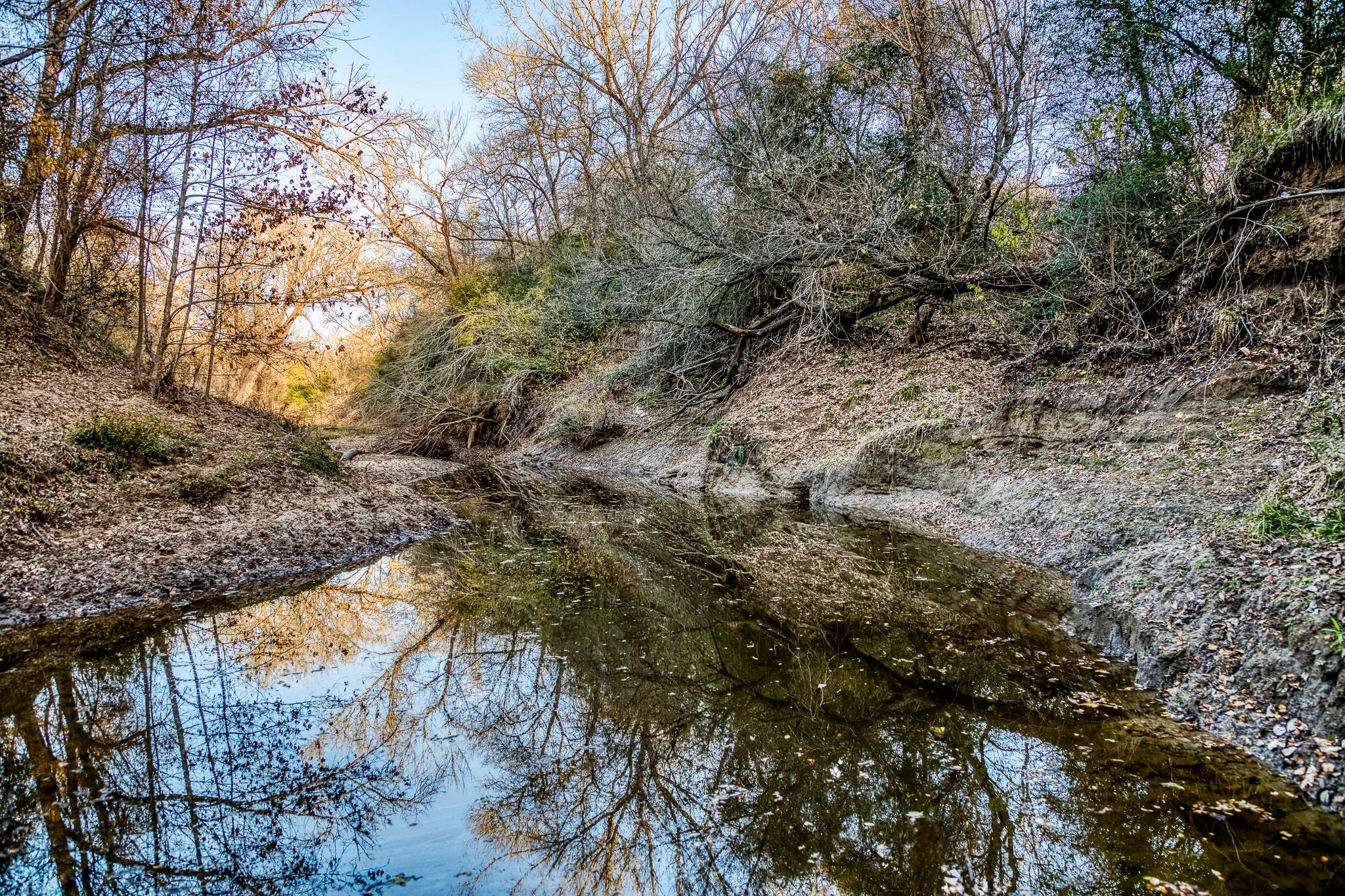 196 Willy Rd, Bastrop, TX 78602