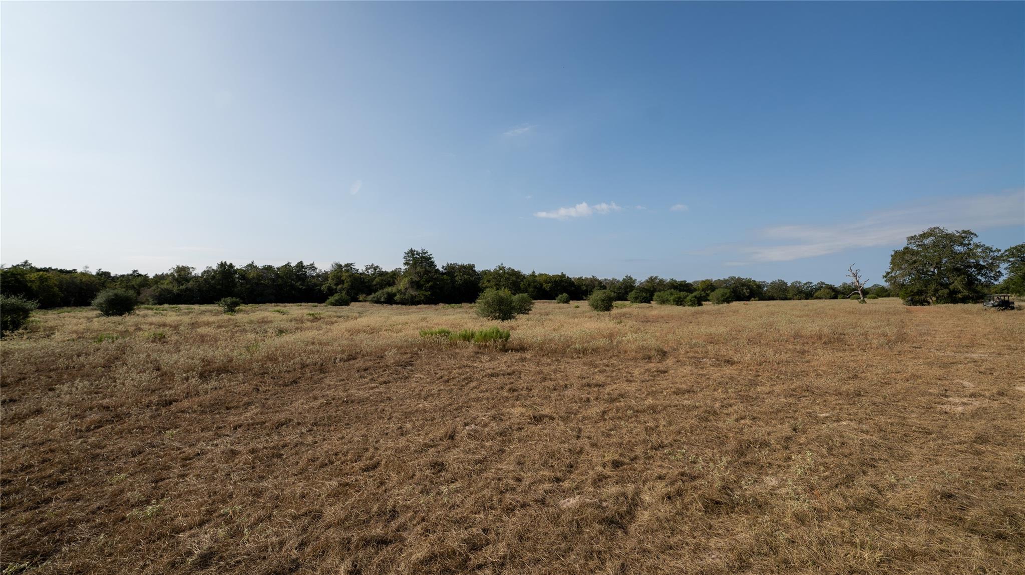 TBD TRACT 8 CEDAR ROCK Rd, Rosanky, TX 78953