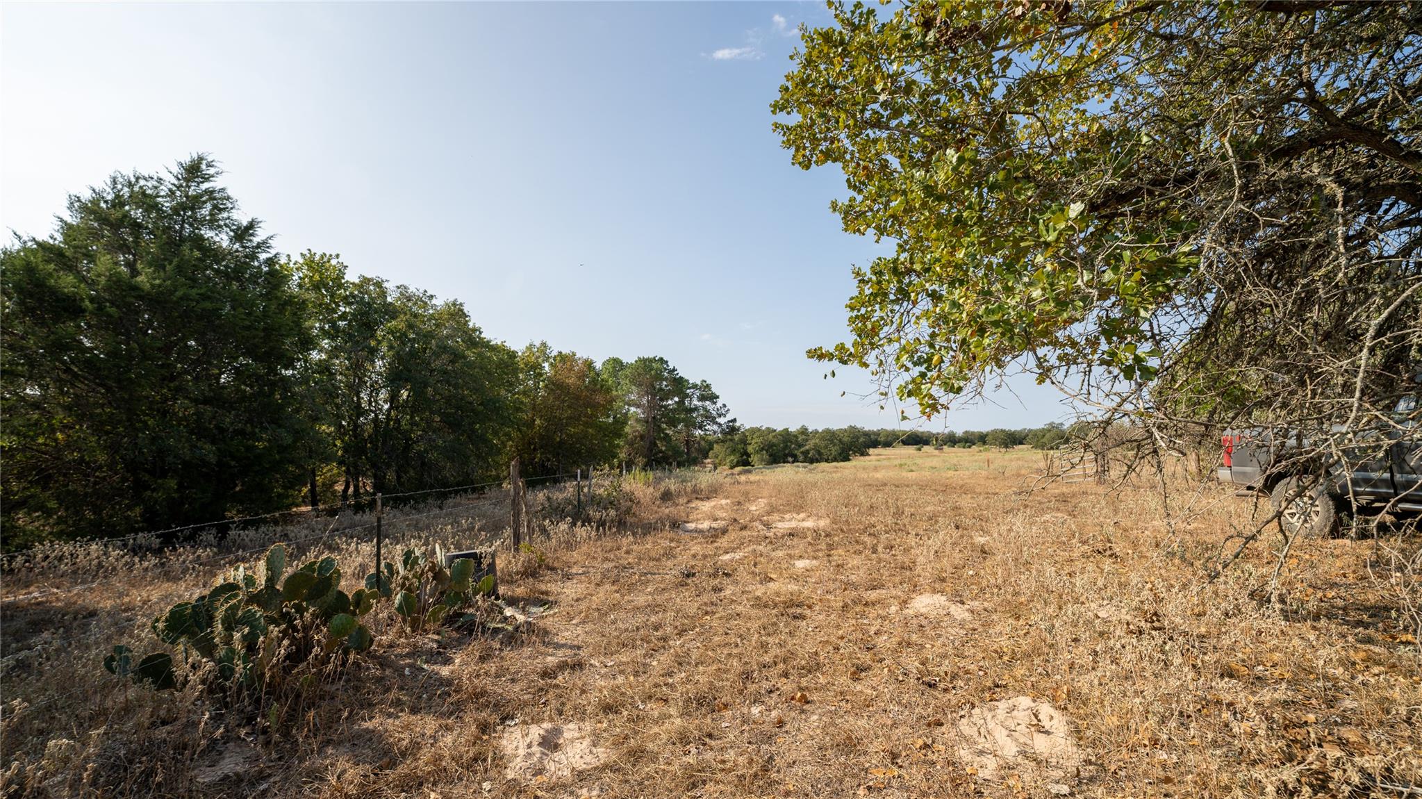 TBD TRACT 8 CEDAR ROCK Rd, Rosanky, TX 78953