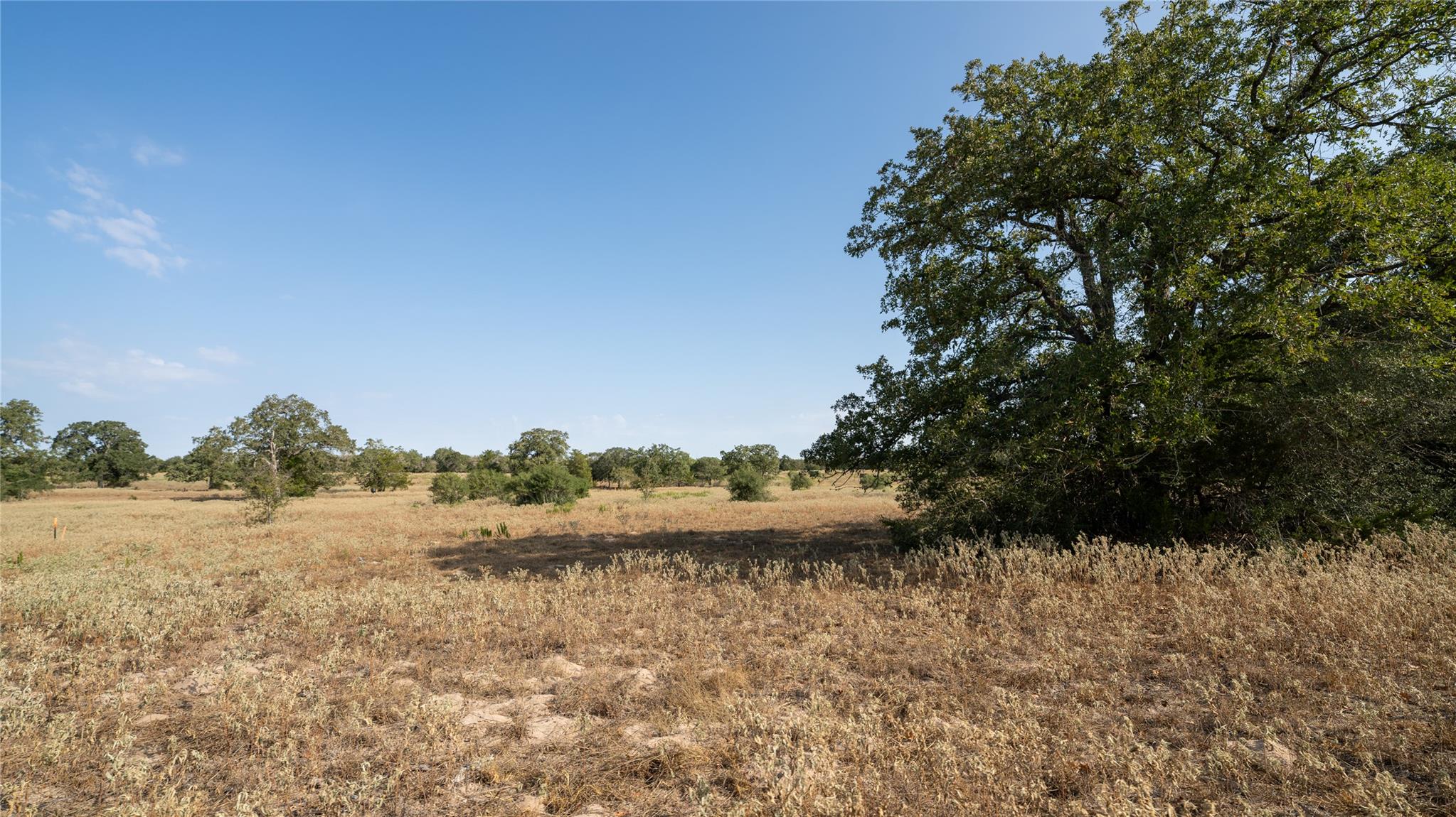 TBD TRACT 8 CEDAR ROCK Rd, Rosanky, TX 78953