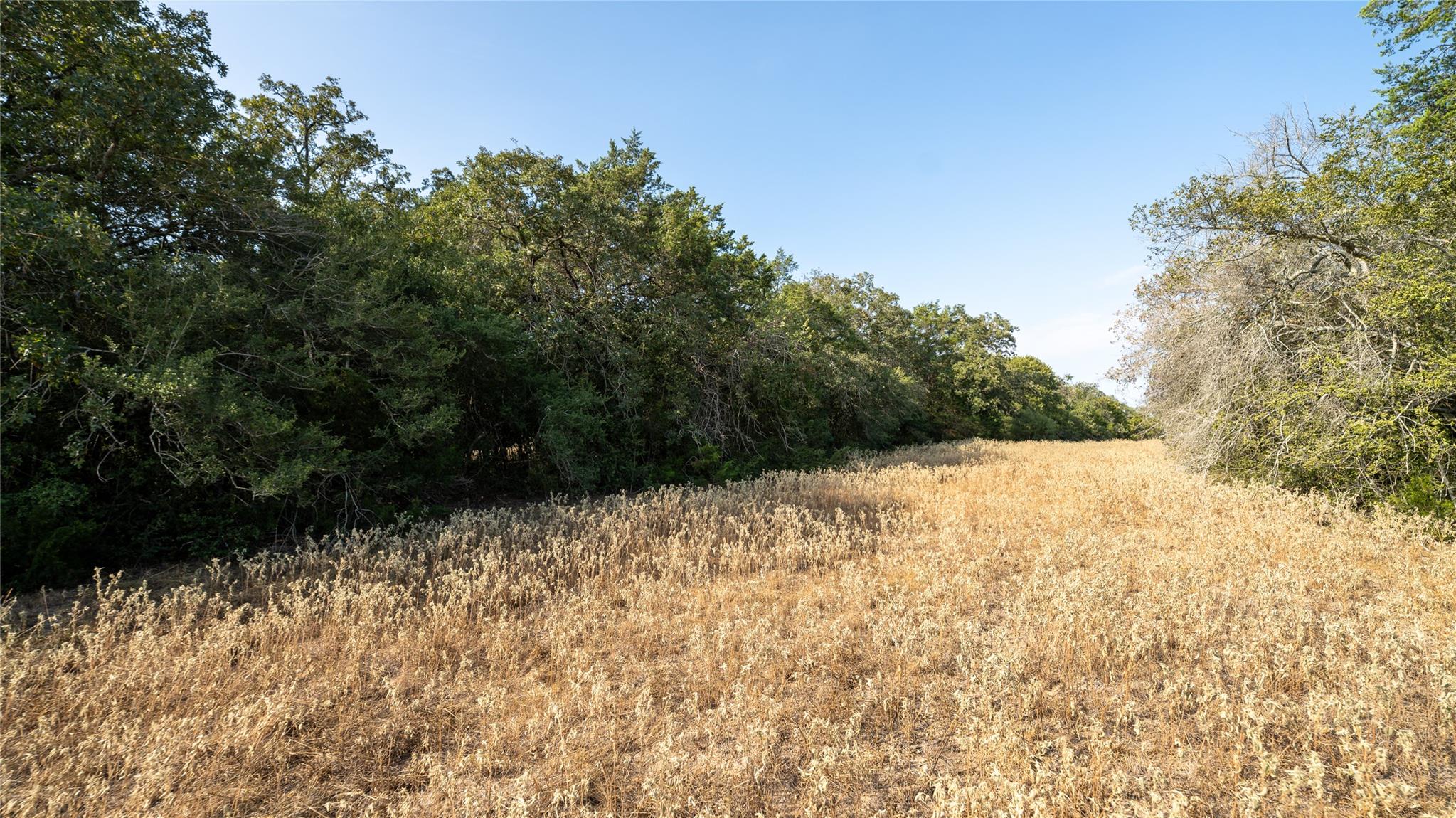 TBD TRACT 8 CEDAR ROCK Rd, Rosanky, TX 78953