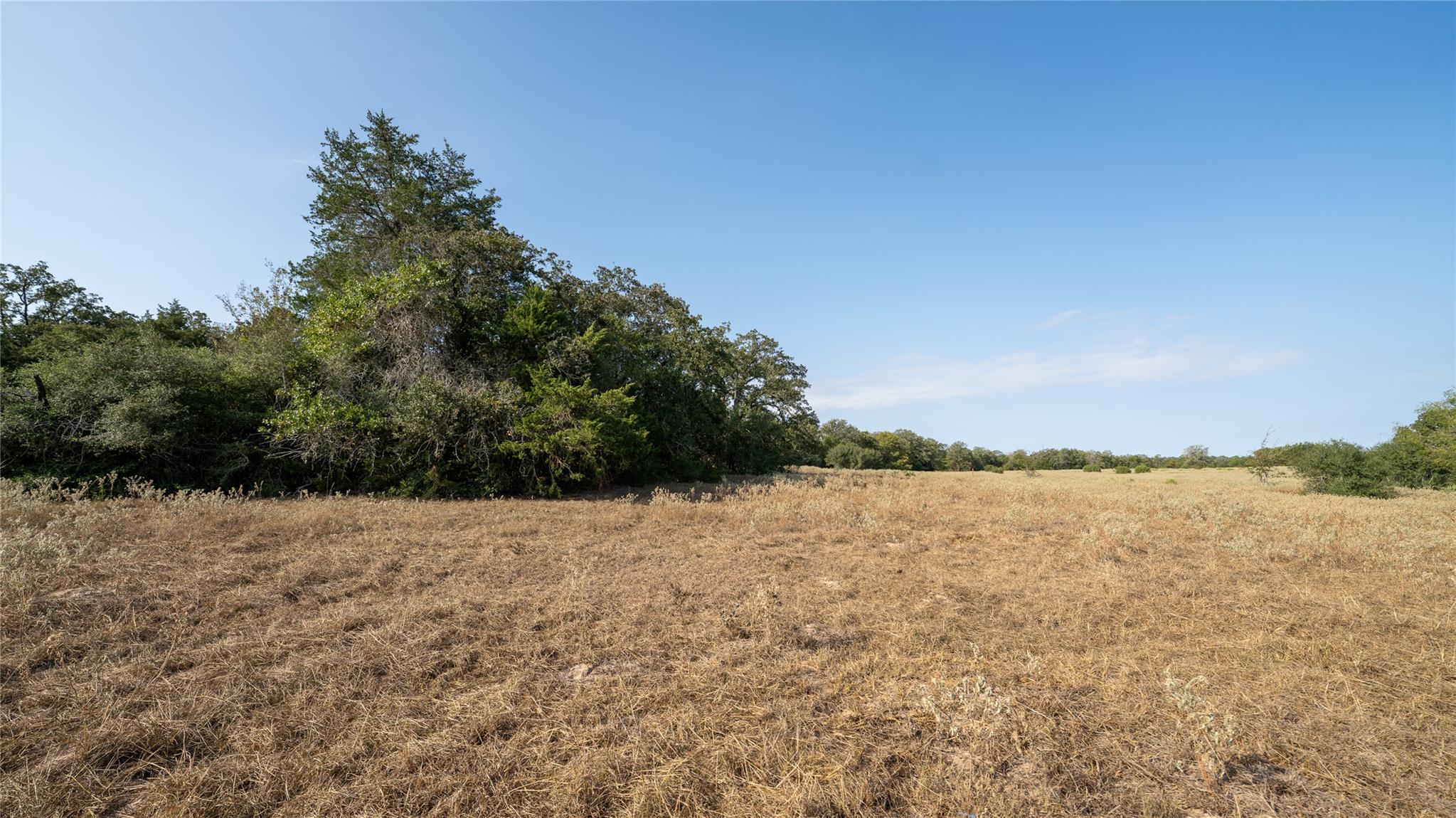 TBD TRACT 8 CEDAR ROCK Rd, Rosanky, TX 78953