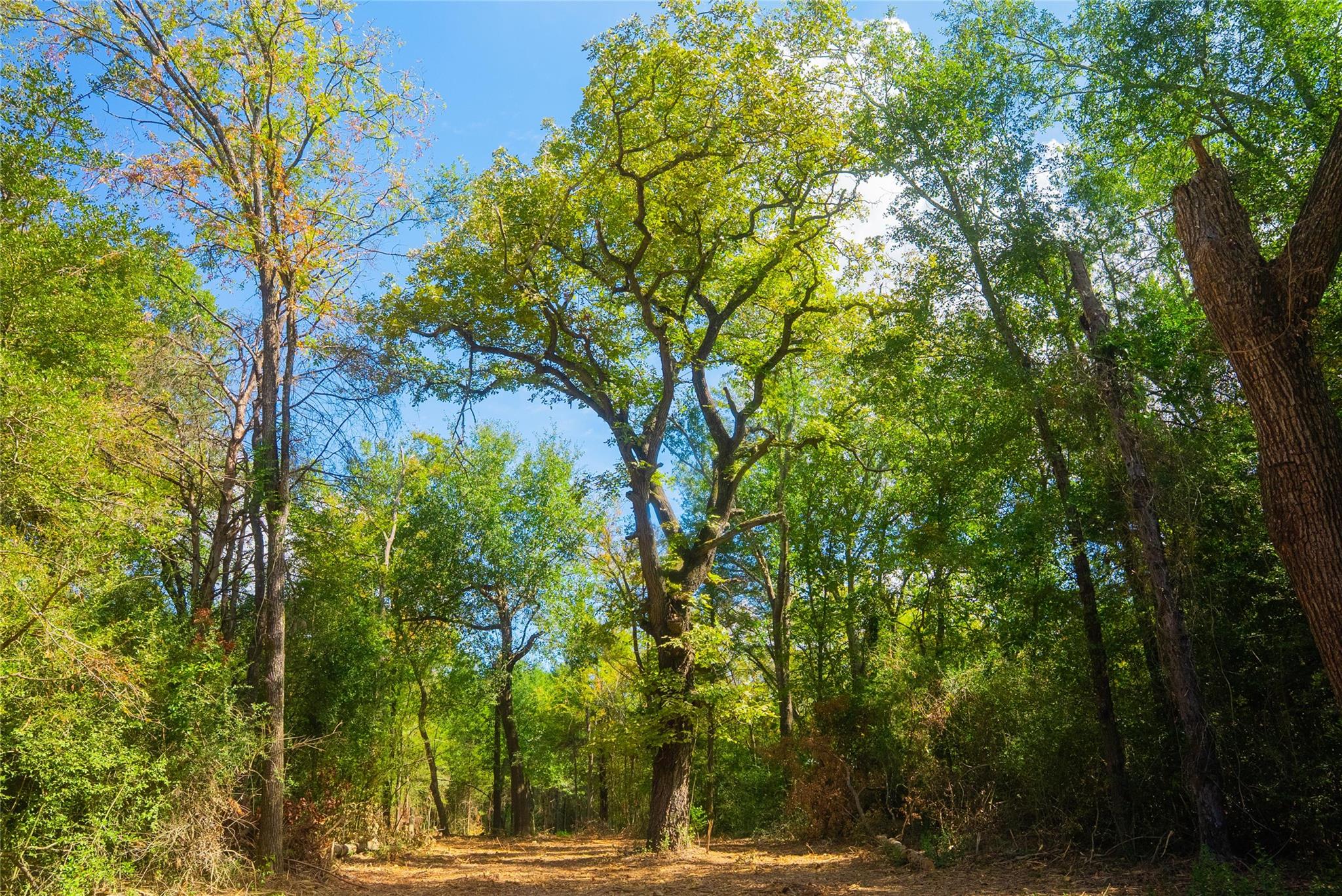 5115 N State Highway 6, Hearne, TX 77859