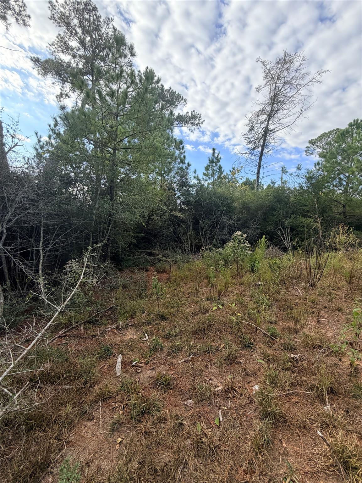 127 Koali Dr, Bastrop, TX 78602