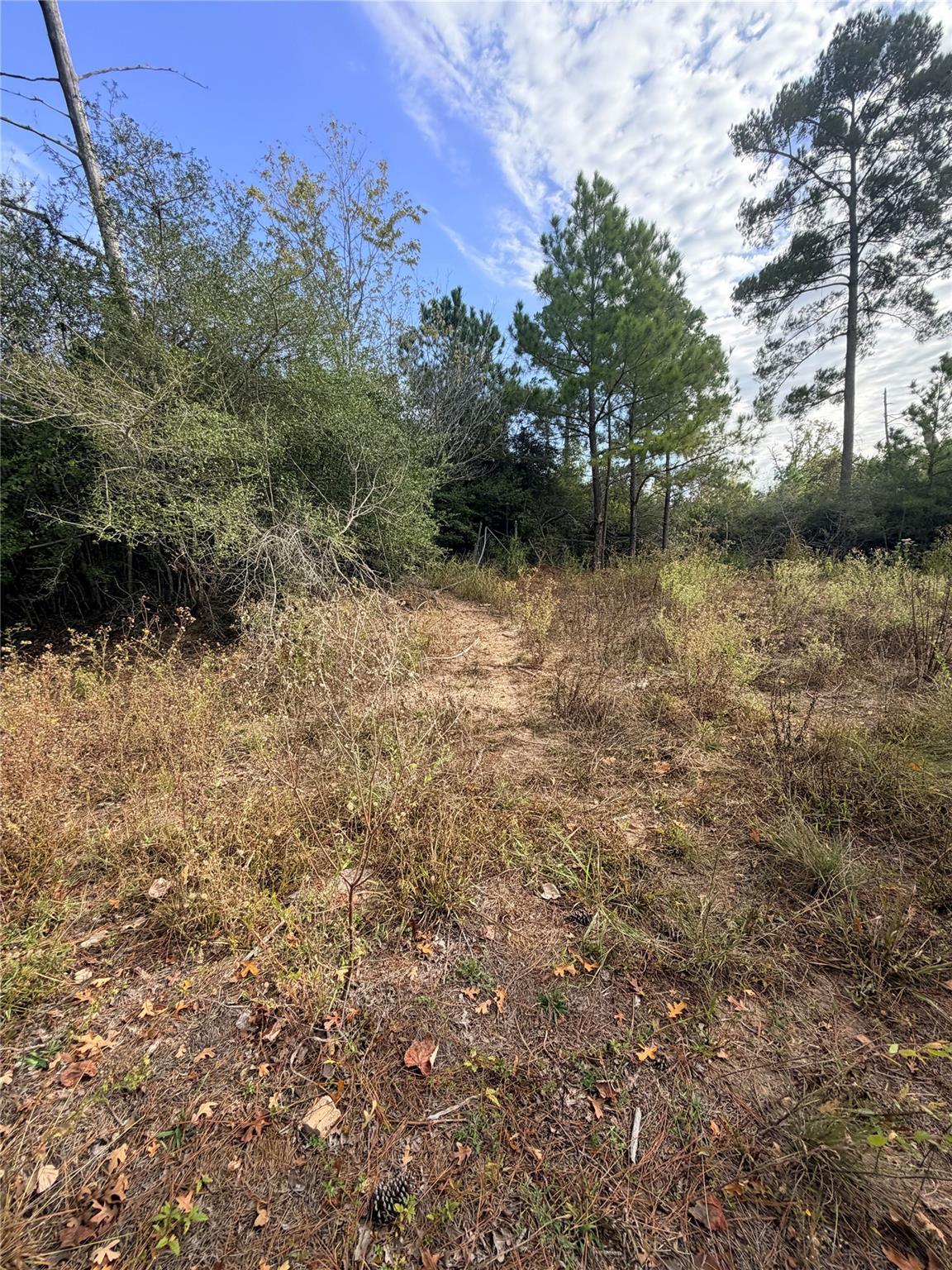 127 Koali Dr, Bastrop, TX 78602