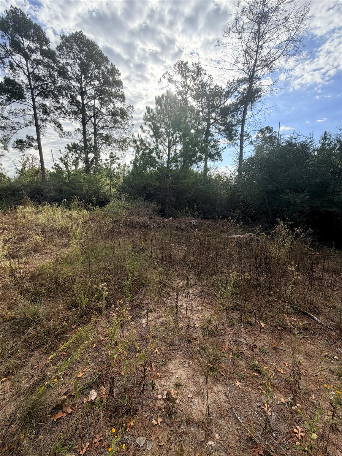 127 Koali Dr, Bastrop, TX 78602