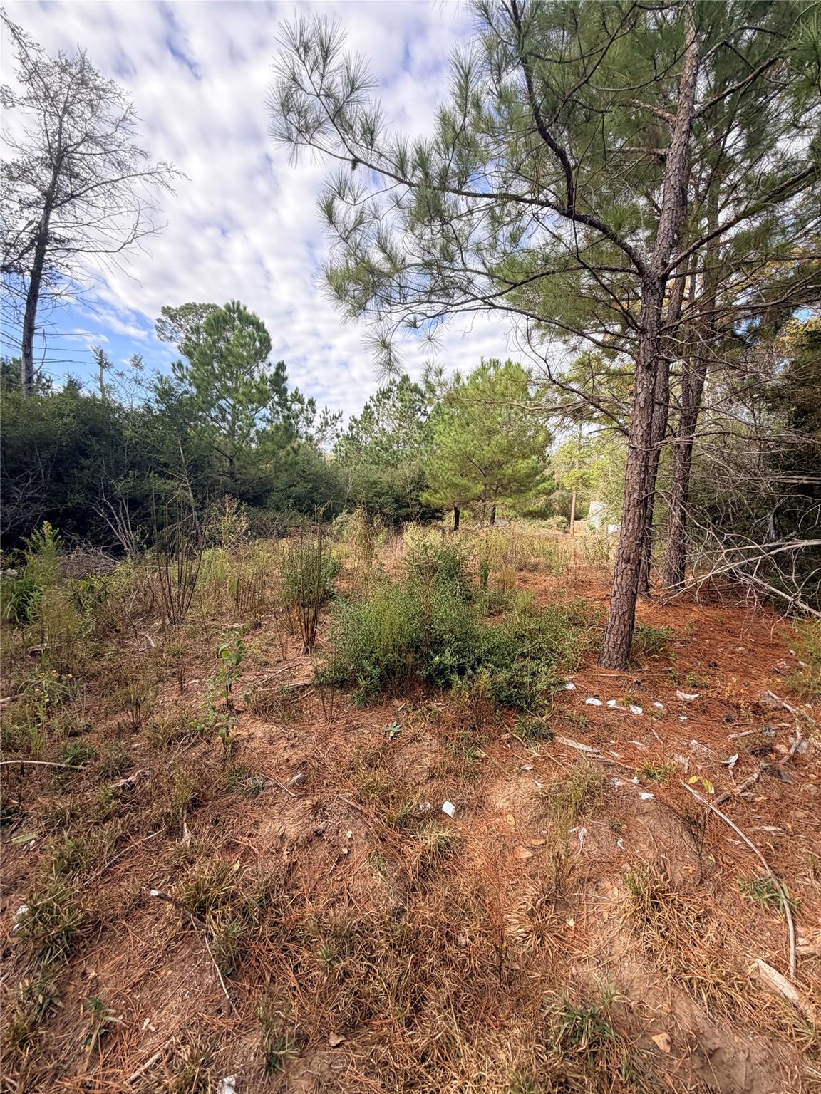 127 Koali Dr, Bastrop, TX 78602