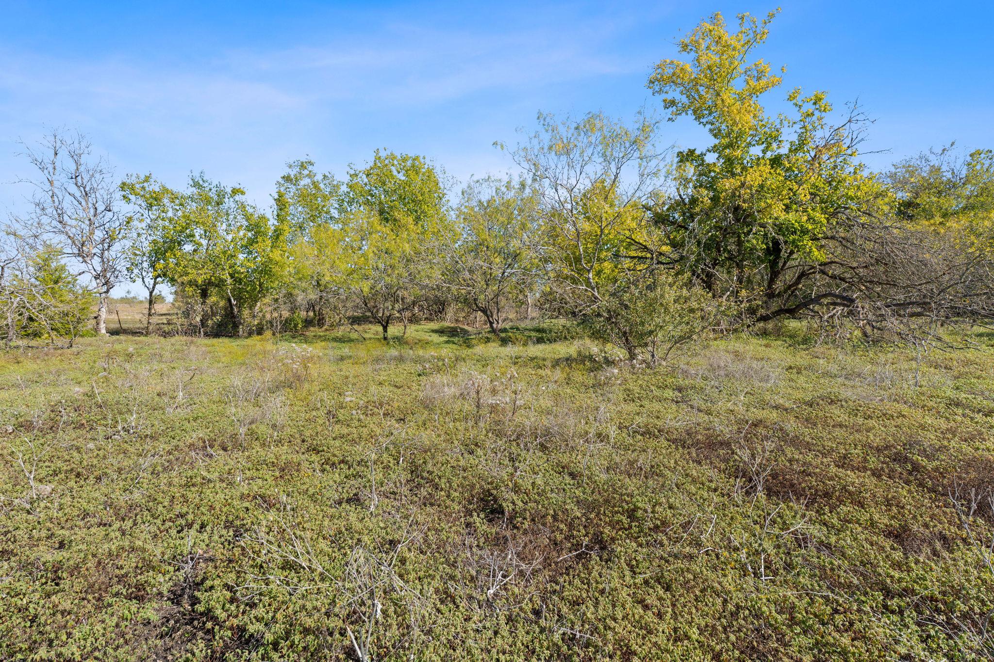 130 Meyers Rd, Buda, TX 78610