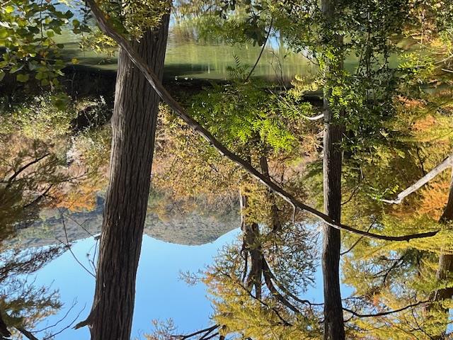 1212 Ridge Oak Dr, Wimberley, TX 78676