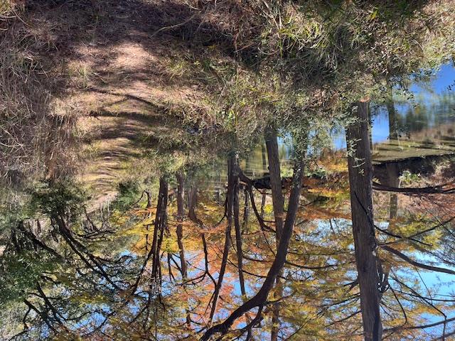 1212 Ridge Oak Dr, Wimberley, TX 78676