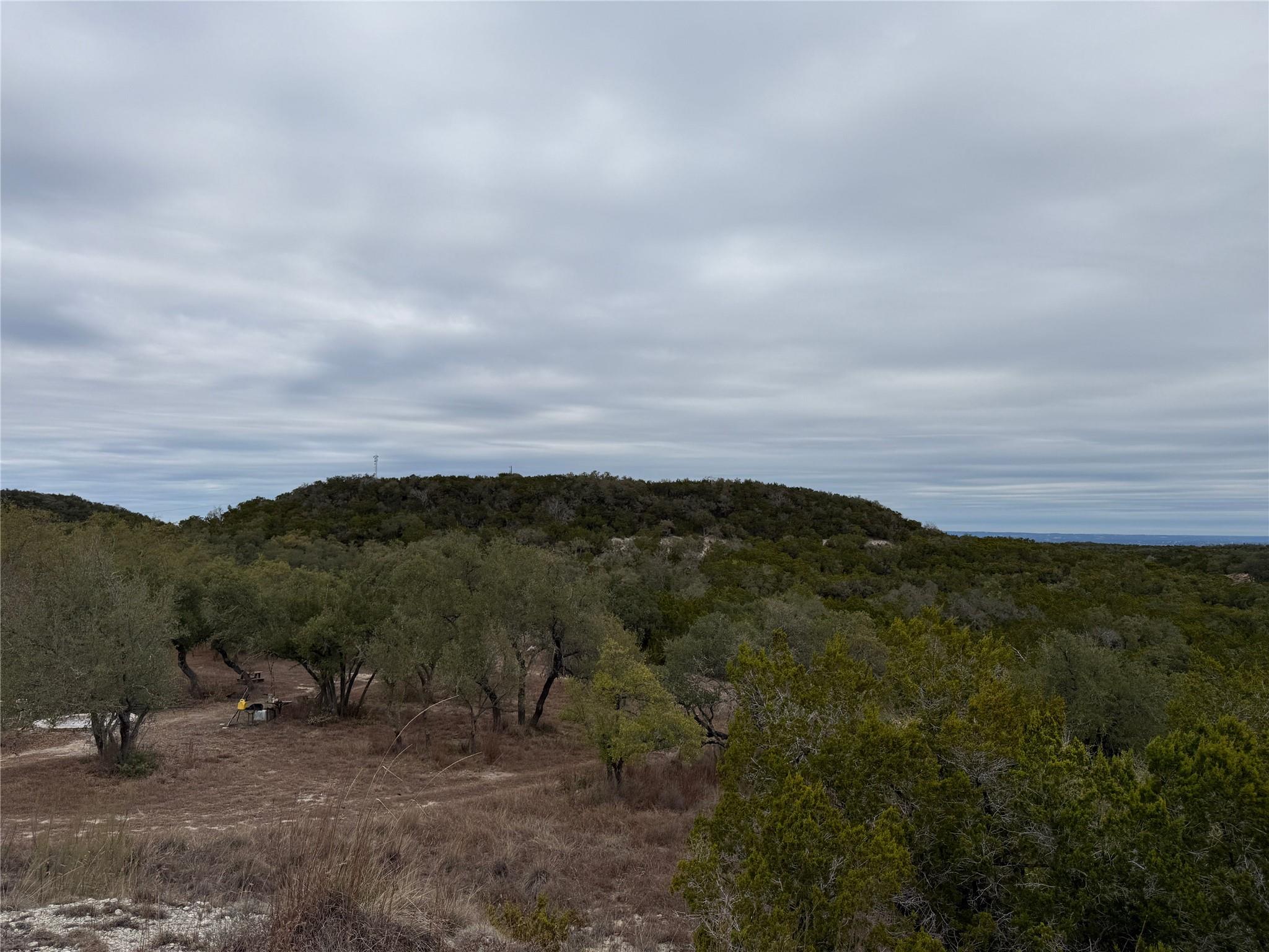 20300 Hamilton Pool RD Hamilton Pool Rd, Dripping Springs, TX 78620