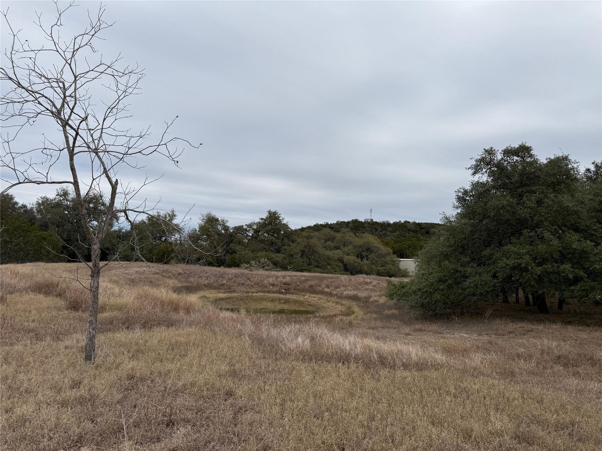 20300 Hamilton Pool RD Hamilton Pool Rd, Dripping Springs, TX 78620