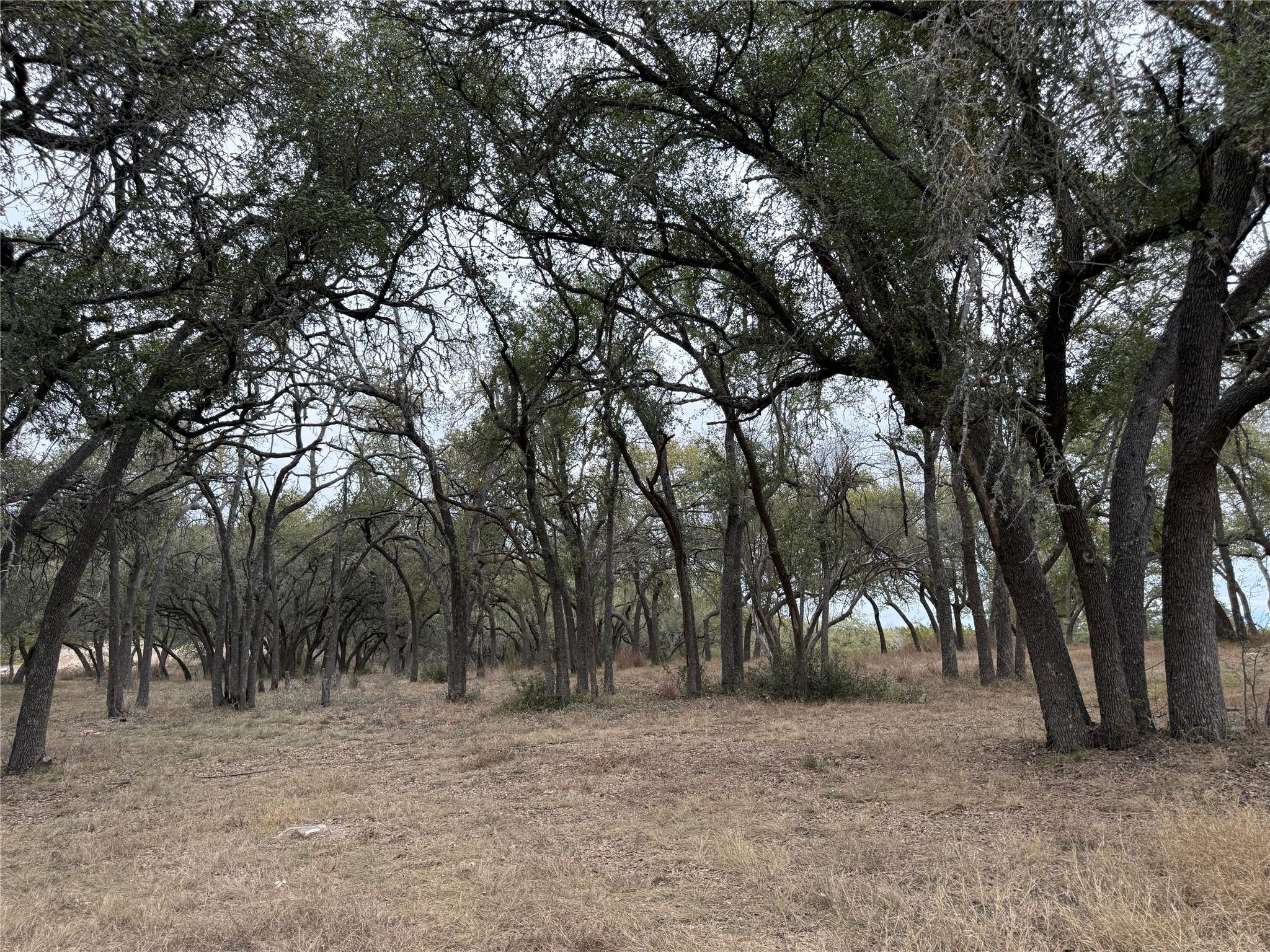 20300 Hamilton Pool RD Hamilton Pool Rd, Dripping Springs, TX 78620