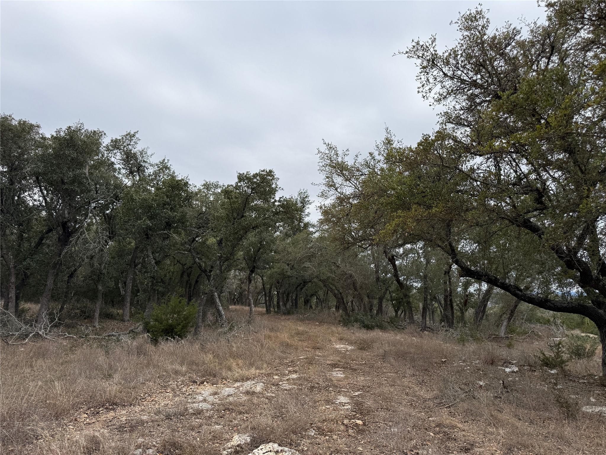 20300 Hamilton Pool RD Hamilton Pool Rd, Dripping Springs, TX 78620