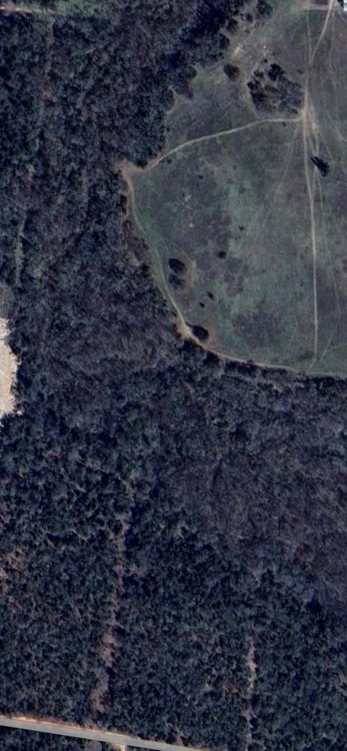 196 Brinkley Ln, Elgin, TX 78621