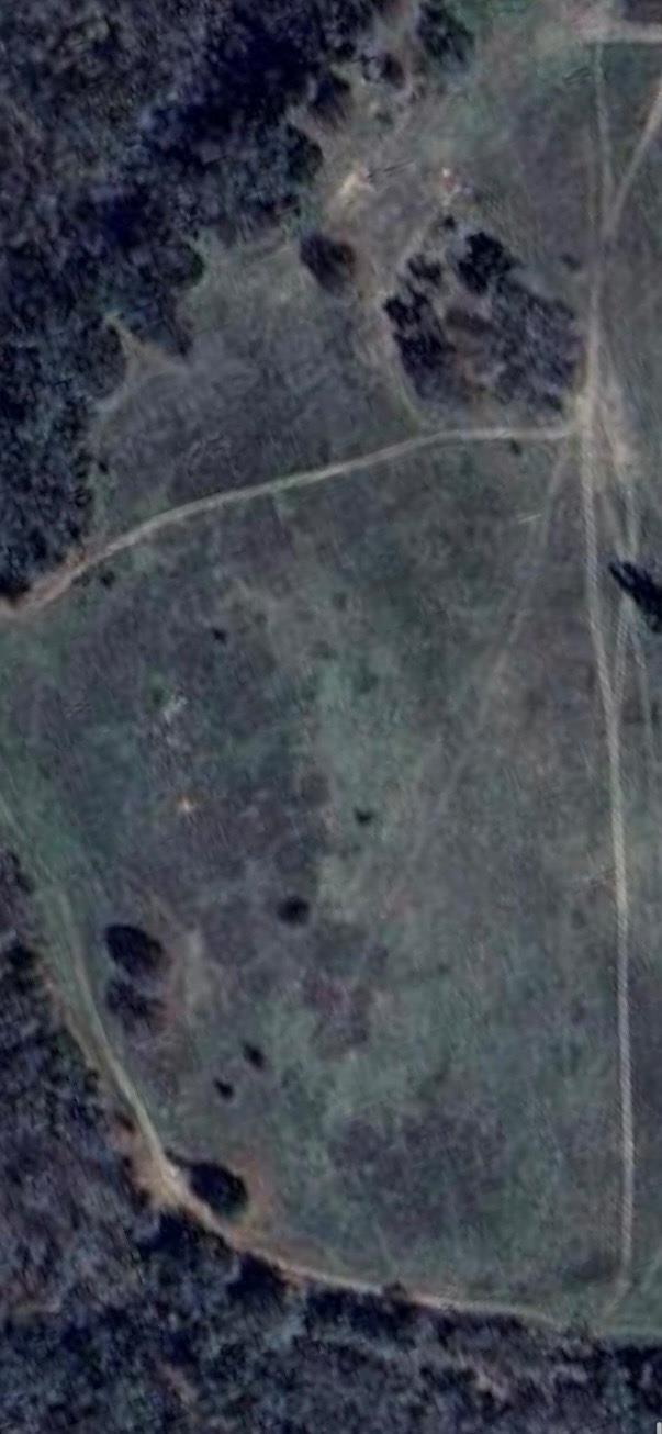 196 Brinkley Ln, Elgin, TX 78621