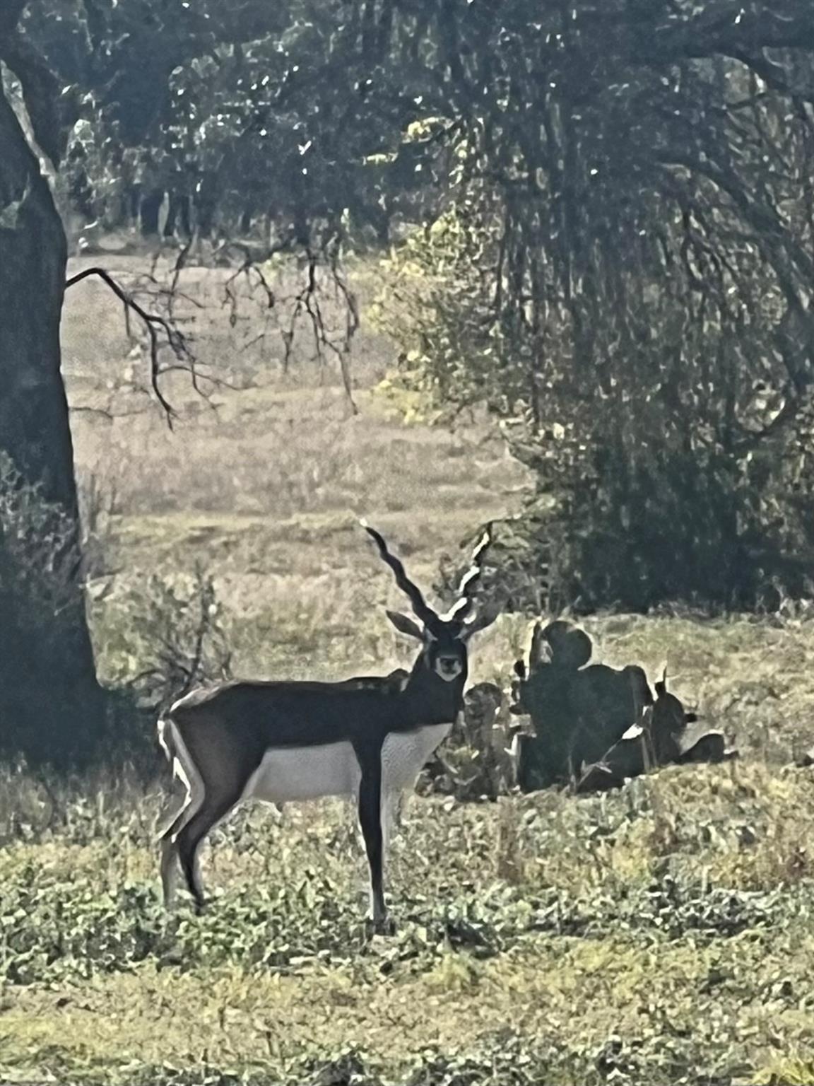 Lot 63 Bluff Vw, Kempner, TX 76539