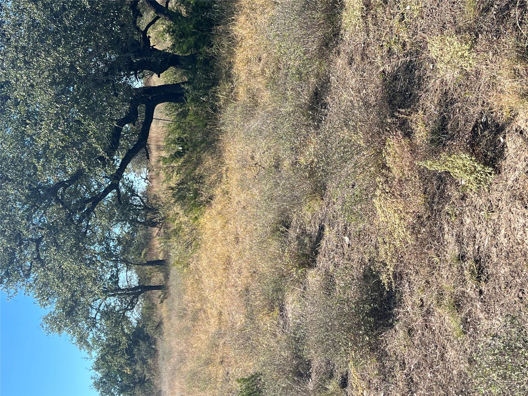 Lot 63 Bluff Vw, Kempner, TX 76539