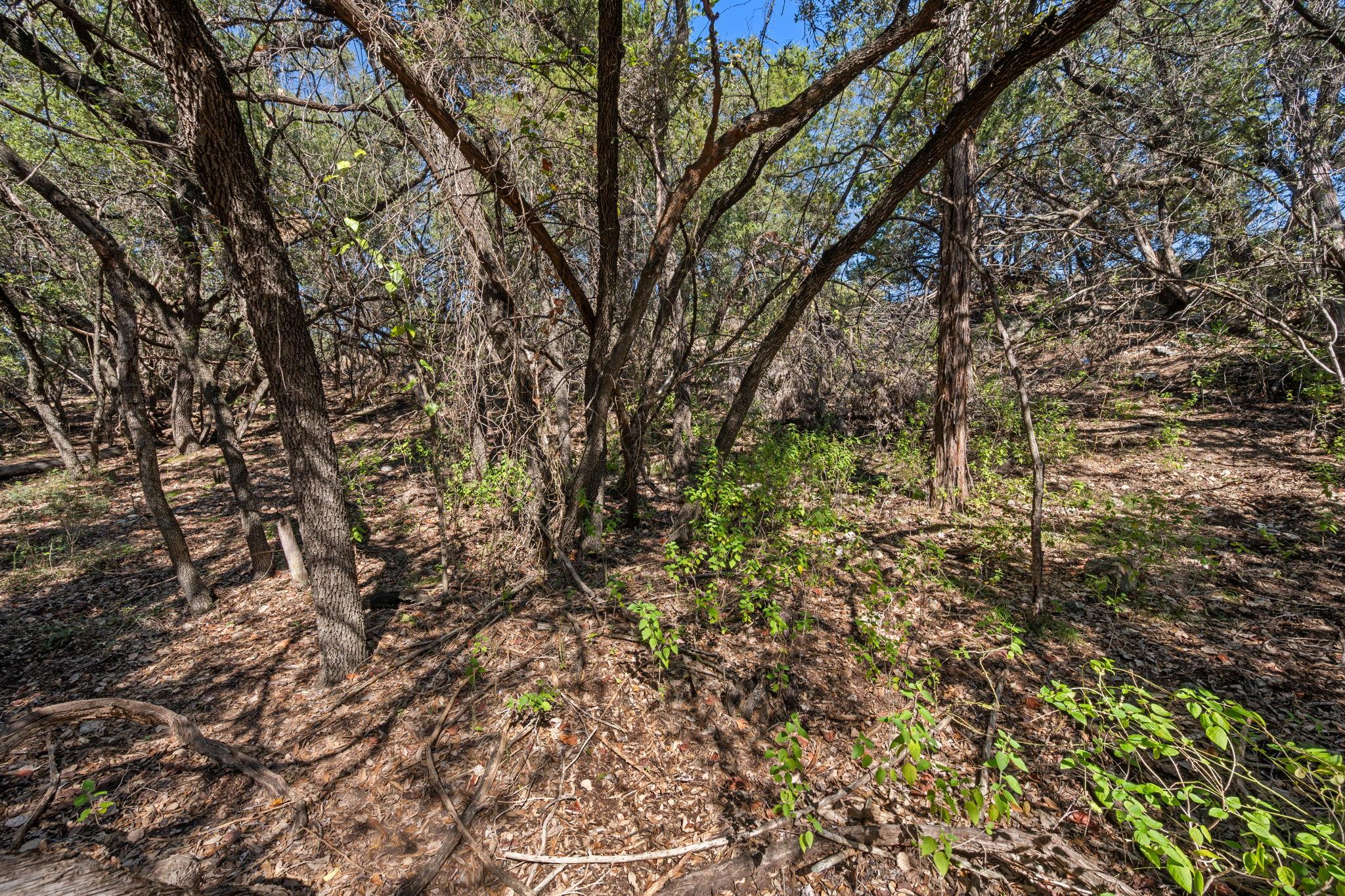 2304 Newton Dr, Lago Vista, TX 78645