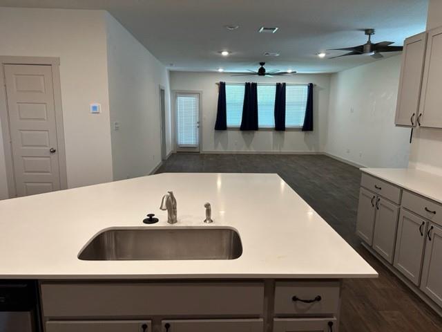 326 Big Sandy Creek Dr, Hutto, TX 78634