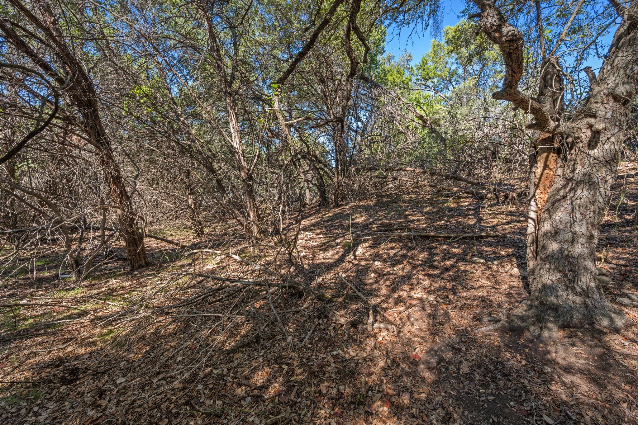 2306 Newton Dr, Lago Vista, TX 78645