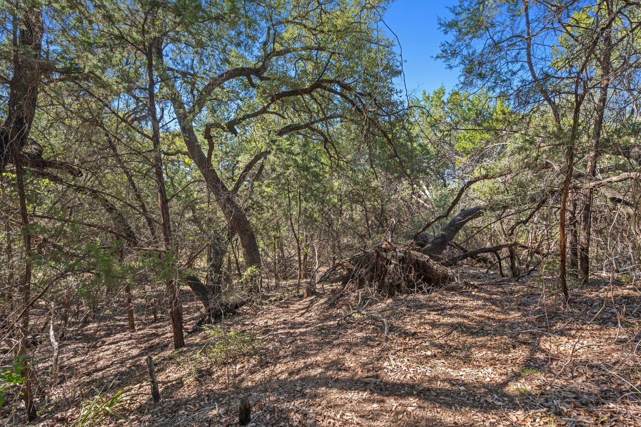 2306 Newton Dr, Lago Vista, TX 78645