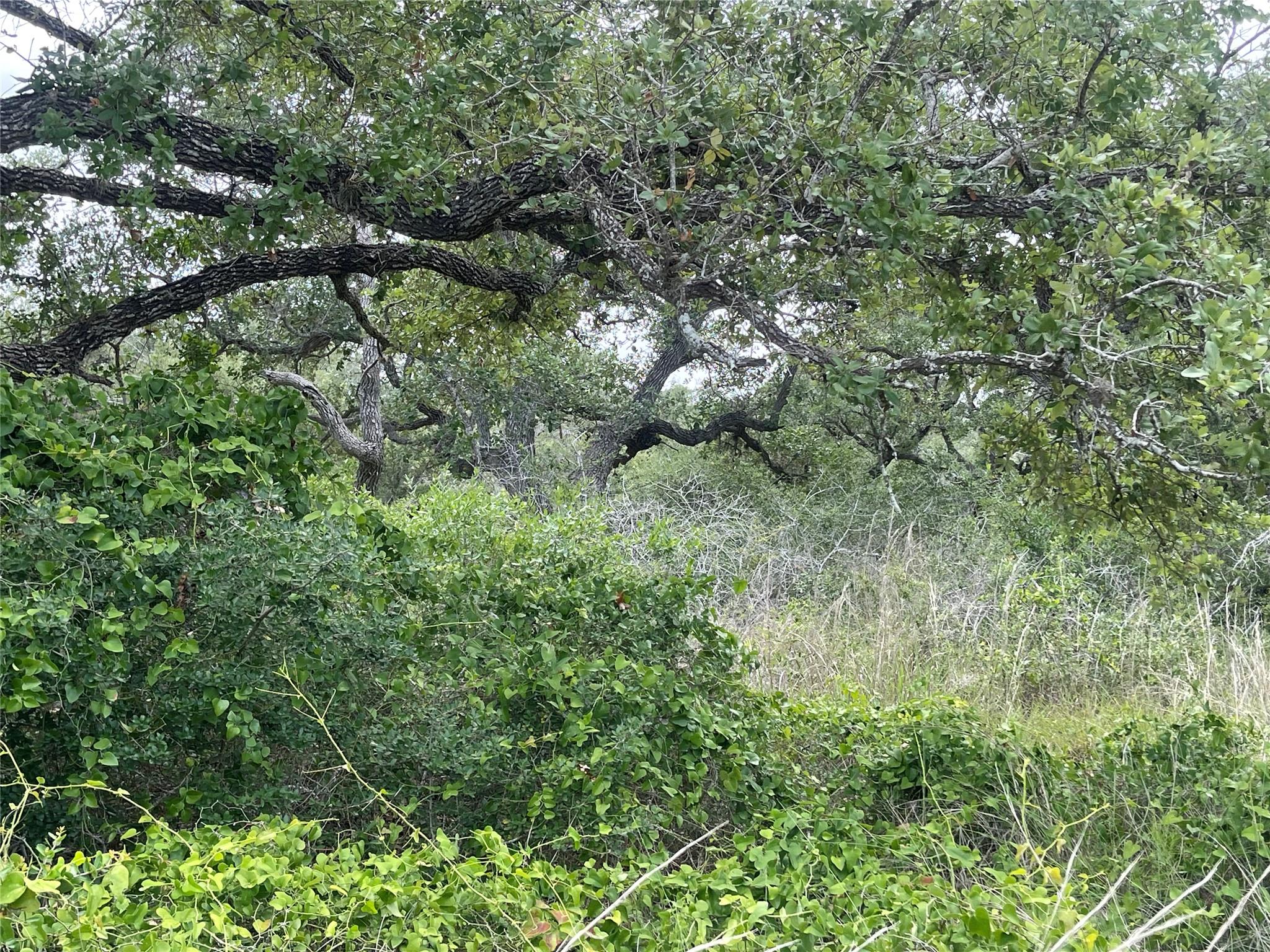 342 Whispering Woods Dr, Rockport, TX 78382