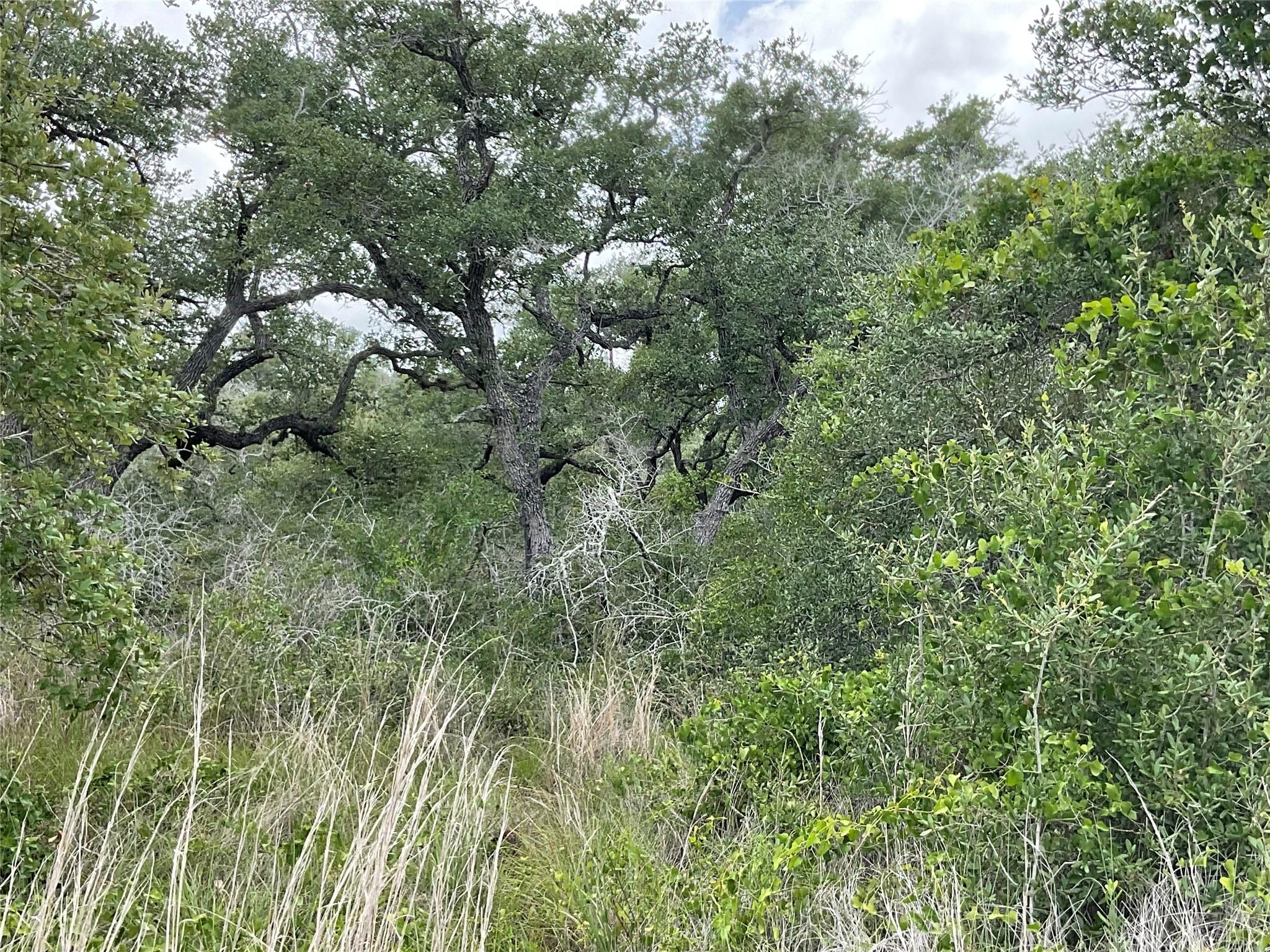 342 Whispering Woods Dr, Rockport, TX 78382