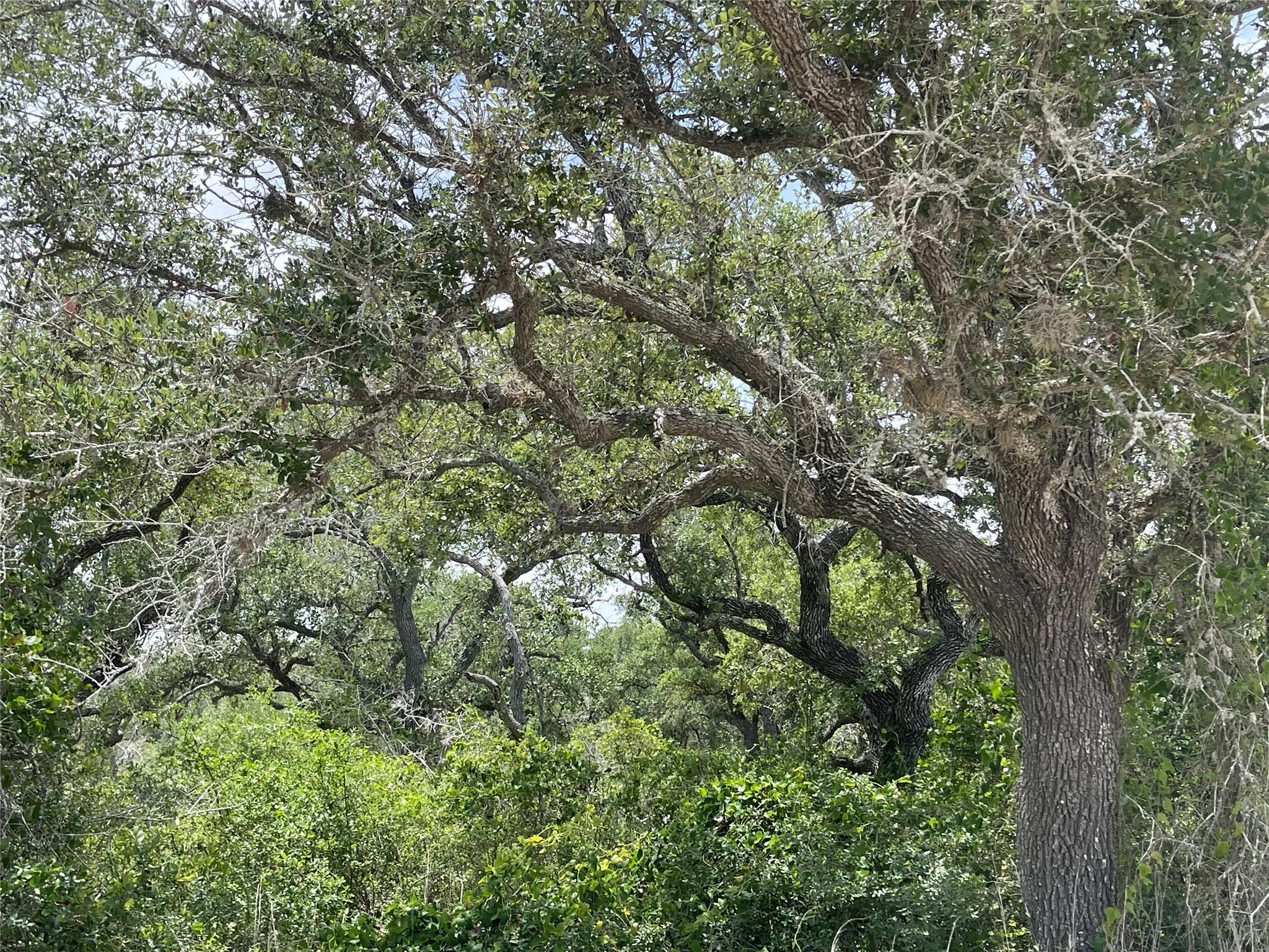 342 Whispering Woods Dr, Rockport, TX 78382