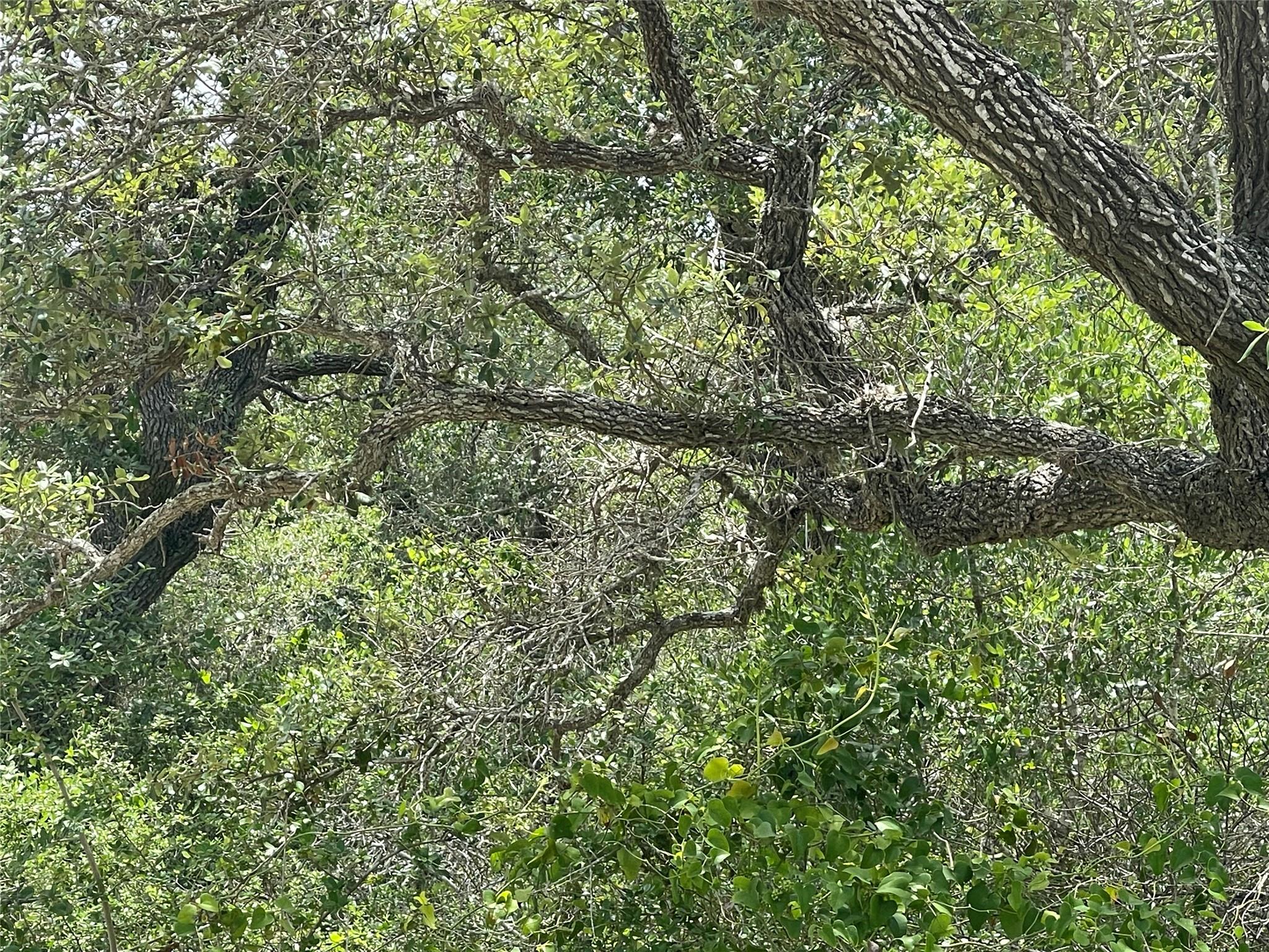 342 Whispering Woods Dr, Rockport, TX 78382