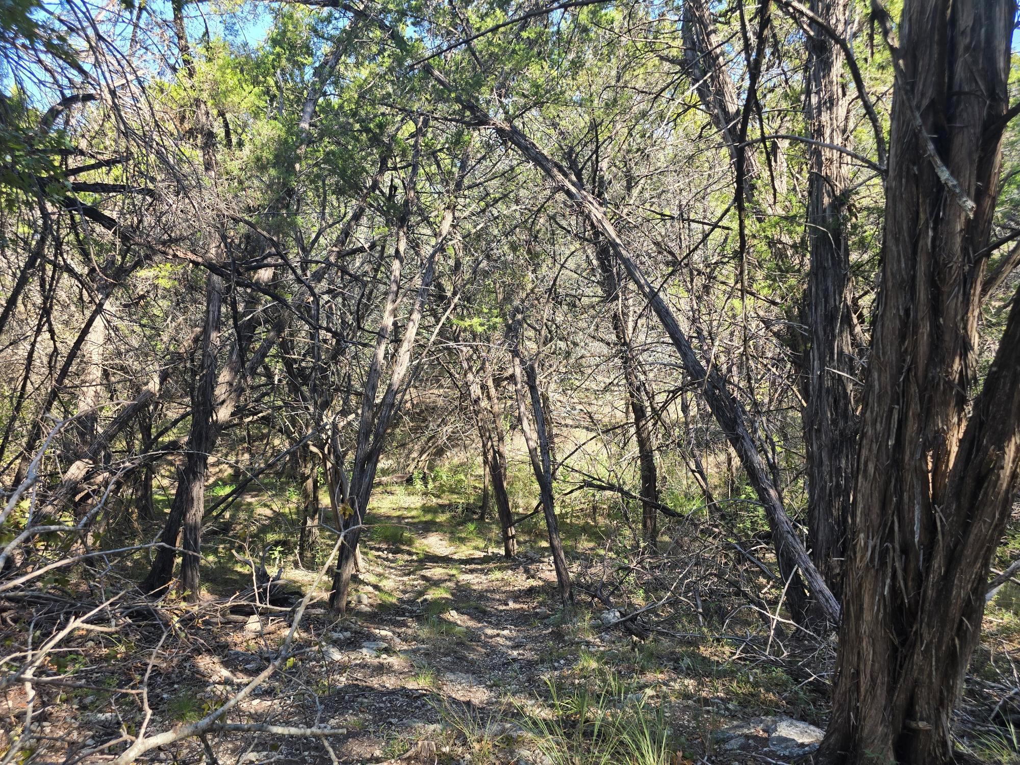 20702 Oak Rdg, Lago Vista, TX 78645