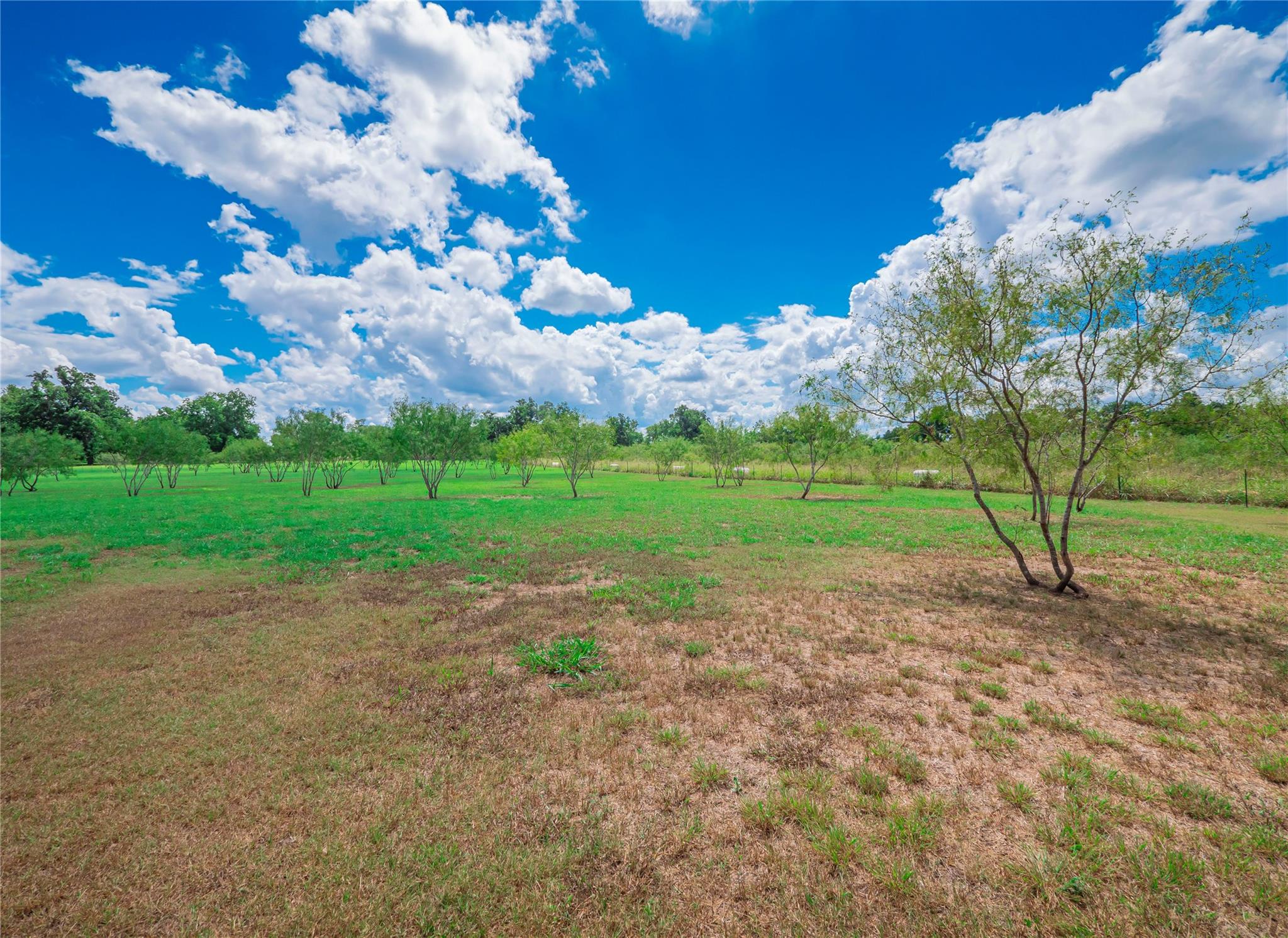 2041 County Road 429, Rockdale, TX 76567