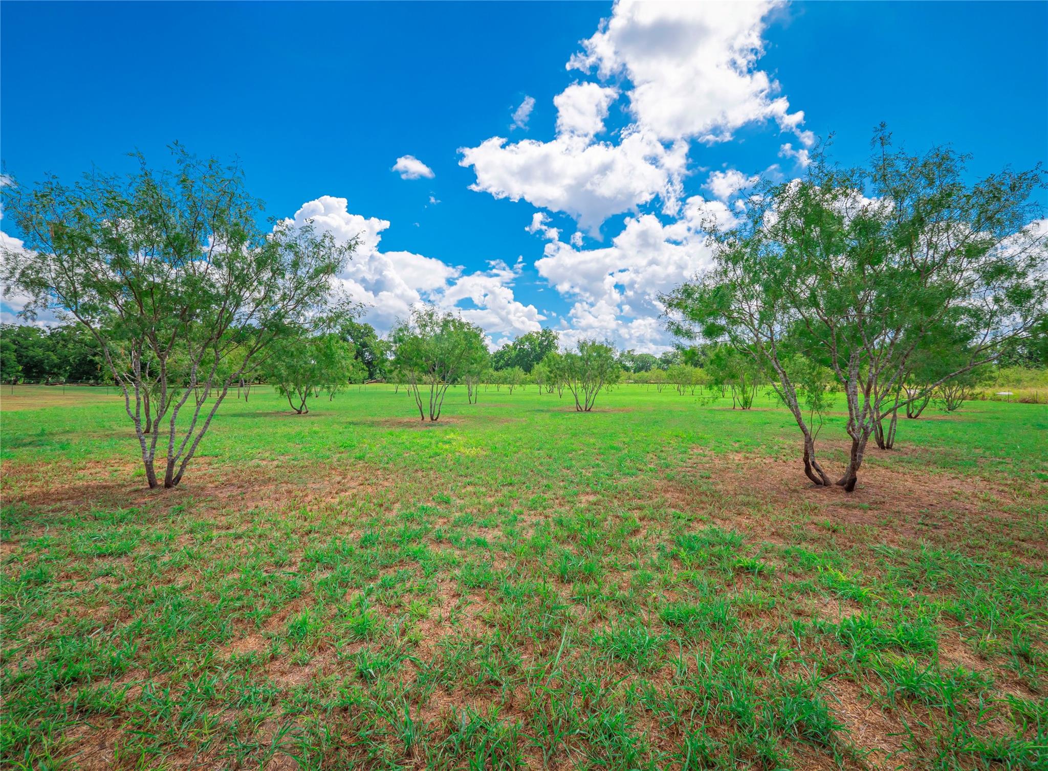 2041 County Road 429, Rockdale, TX 76567