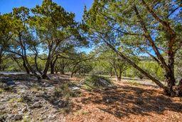 20008 Charlestown Cv, Lago Vista, TX 78645