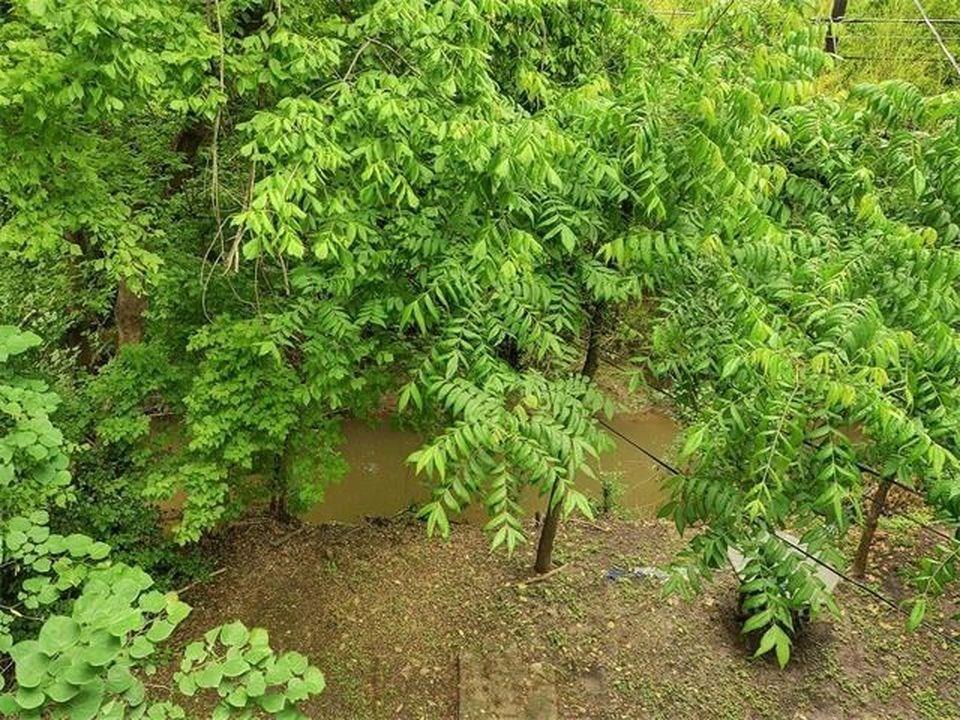 4520 Speedway B # B, Austin, TX 78751