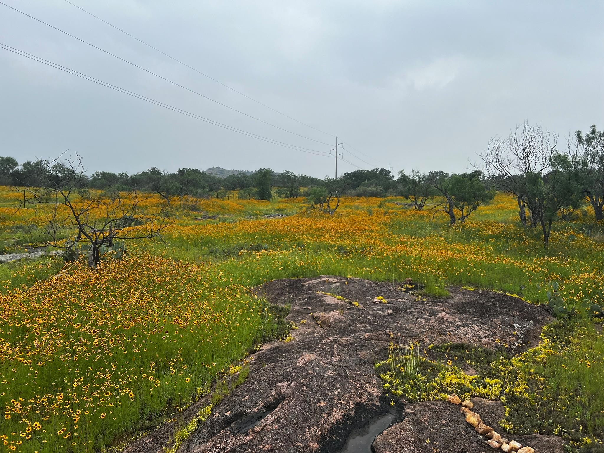 125 W Granite Oaks Dr, Burnet, TX 78611