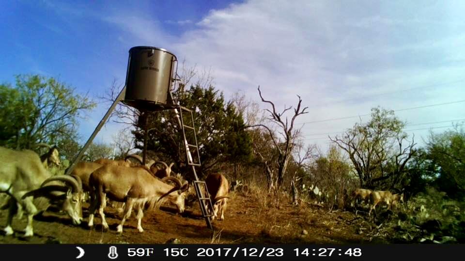 125 W Granite Oaks Dr, Burnet, TX 78611