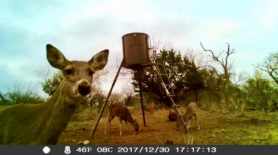 125 W Granite Oaks Dr, Burnet, TX 78611