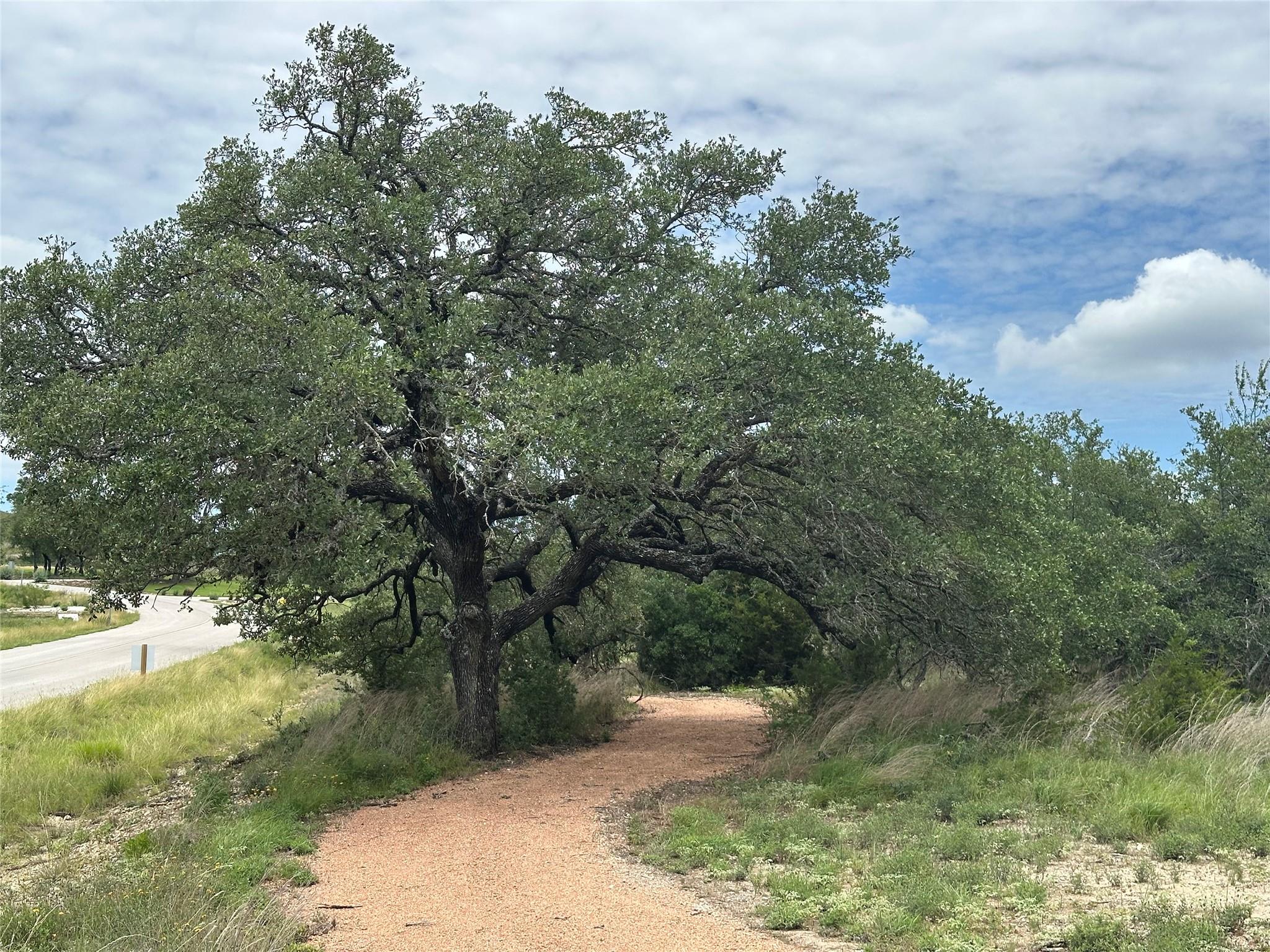 Lot 10 - 12.6 Acres - Round Mountain Reserve Dr, Round Mountain, TX 78663