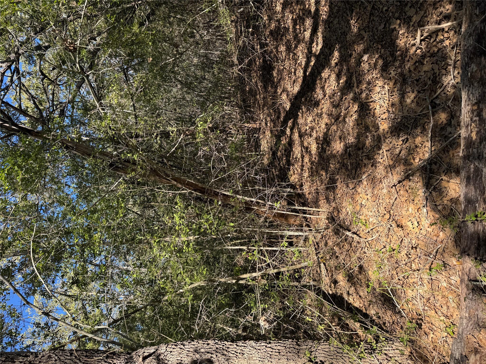 Lot 195 Kaelepulu Dr, Bastrop, TX 78602