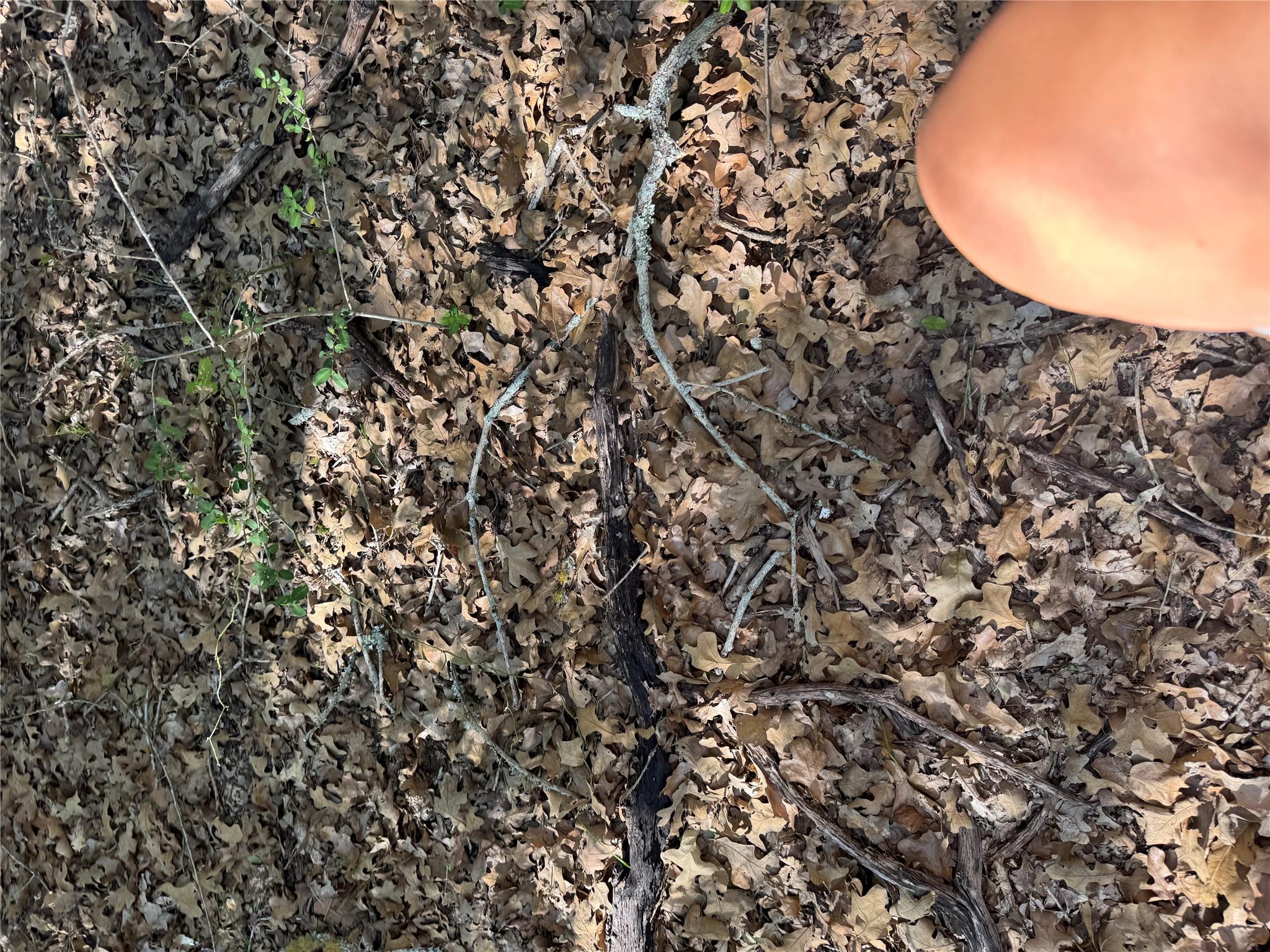 Lot 195 Kaelepulu Dr, Bastrop, TX 78602