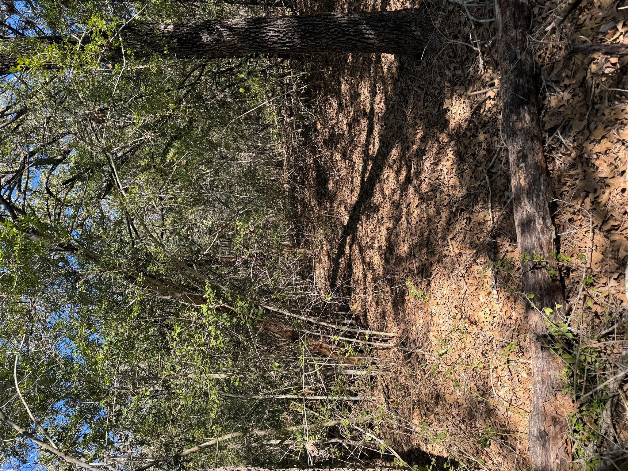 Lot 195 Kaelepulu Dr, Bastrop, TX 78602