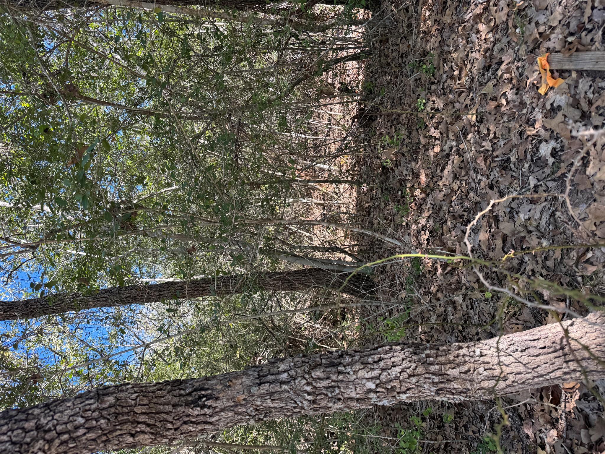 Lot 195 Kaelepulu Dr, Bastrop, TX 78602