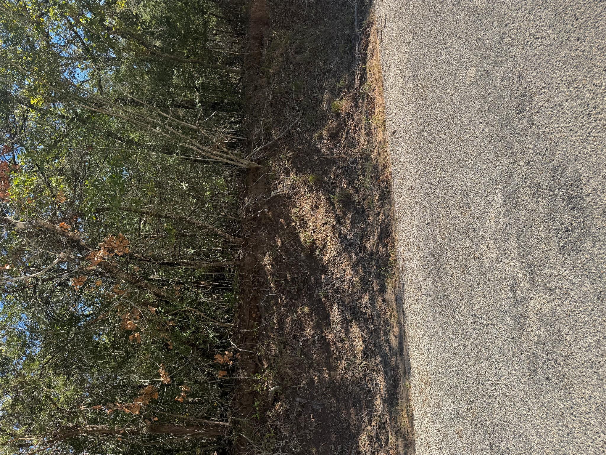 Lot 195 Kaelepulu Dr, Bastrop, TX 78602