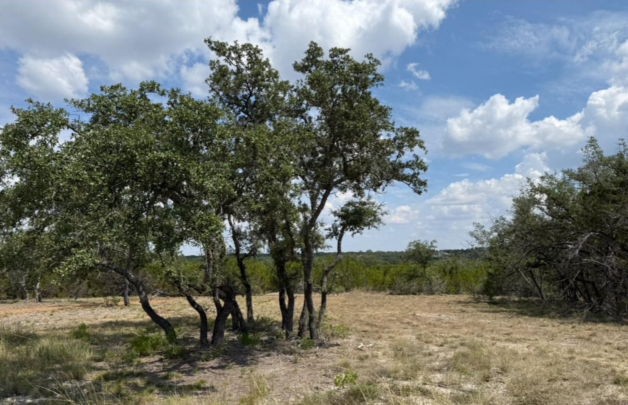 Lot 36 - 6.65 Acres - Round Mountain Reserve Dr, Round Mountain, TX 78663